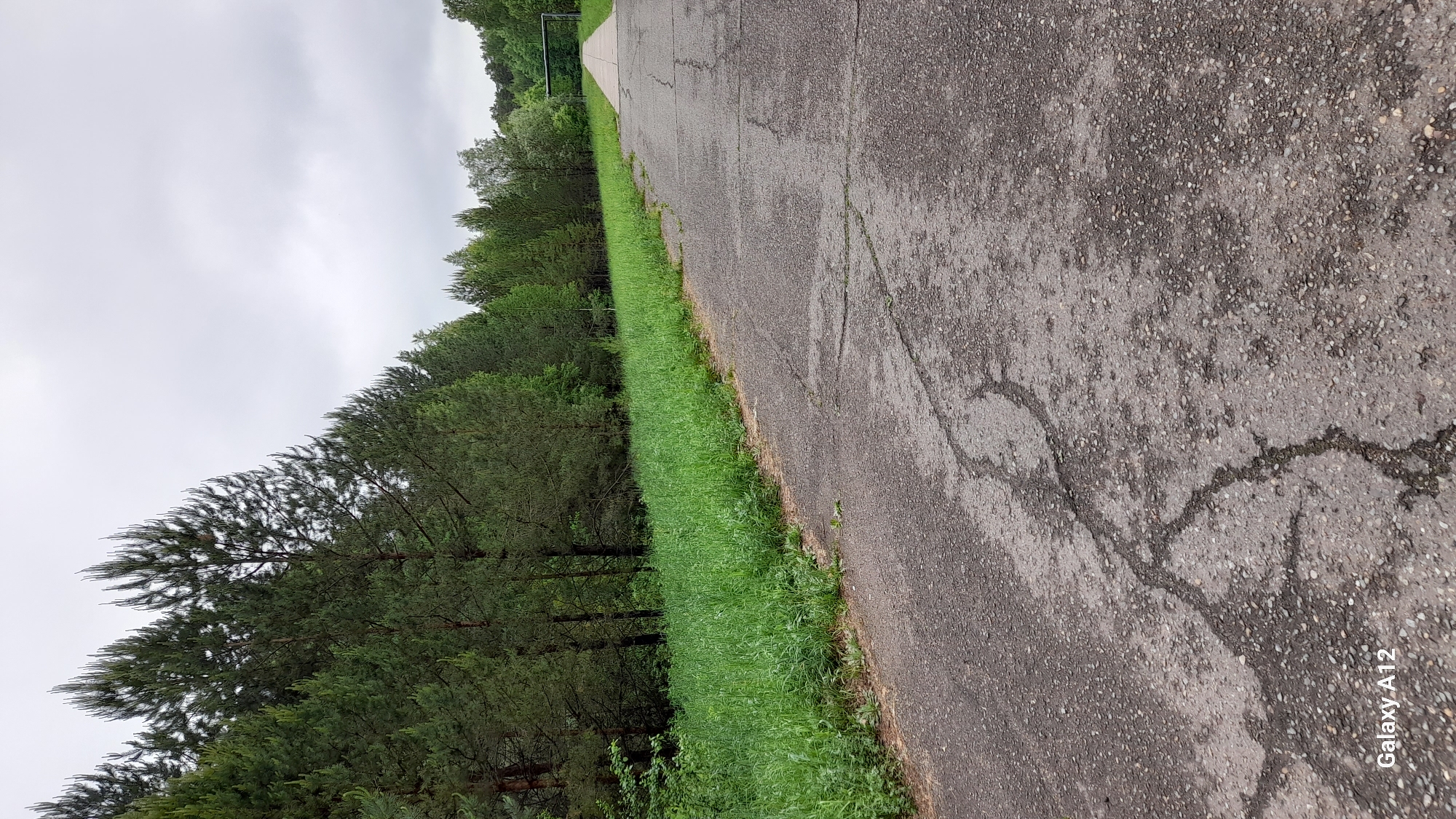 The image depicts a cracked asphalt road in Марковский, Russia. The road runs lengthwise from the upper center to the lower right corner. Green grass and trees border the road's left side. The sky is overcast. A metal frame structure is visible in the distance at the end of the road. The words "Galaxy A12" are visible in the lower right corner, likely a watermark from the device used to take the photo.