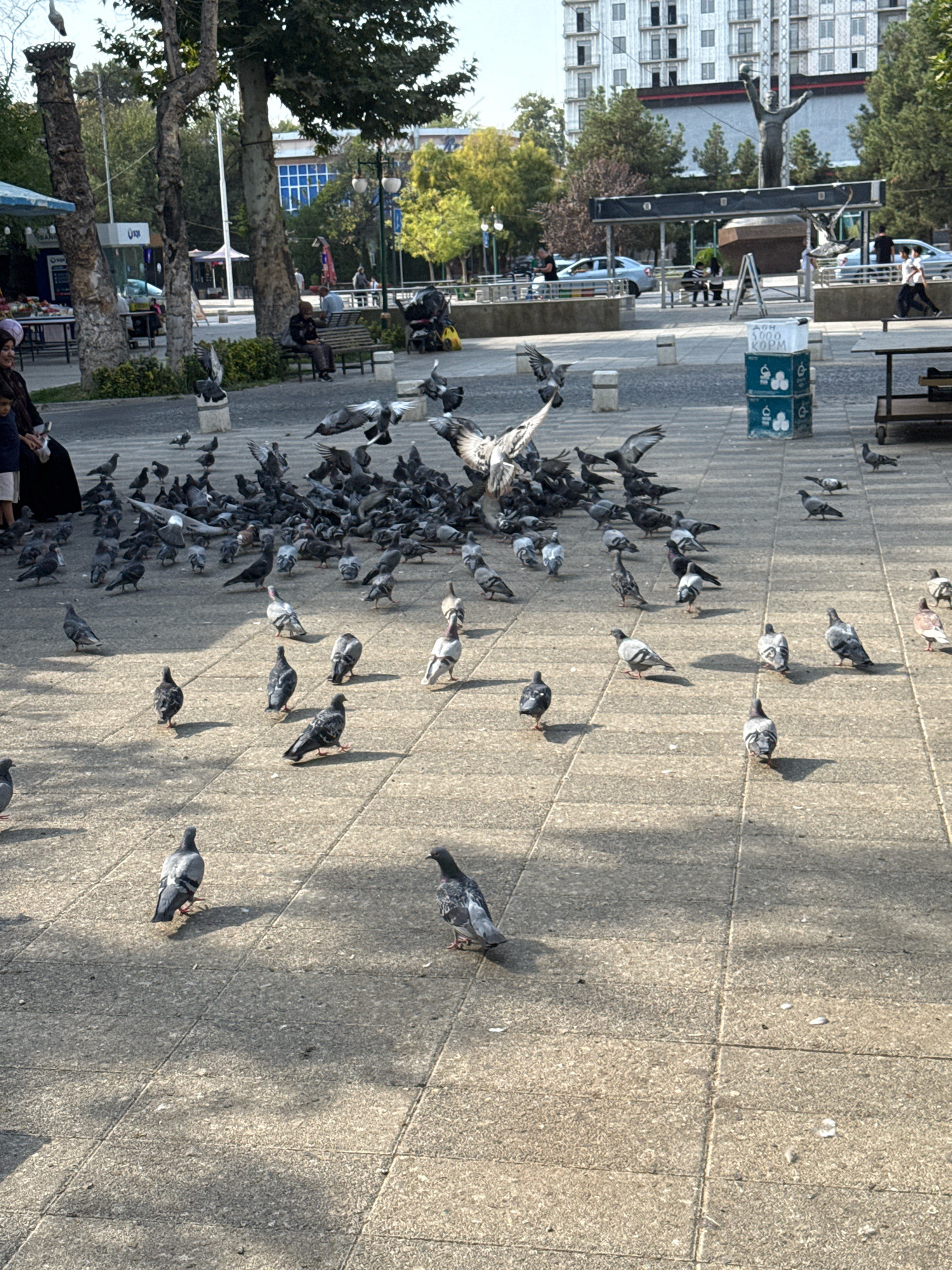 The image captures a bustling scene in a public square, likely in Tashkent, Uzbekistan. In the foreground, a large flock of pigeons is gathered on a paved stone surface, with some in flight and others pecking at the ground. The pigeons exhibit a variety of grey and white plumage. To the left of the frame, a woman wearing a headscarf and dark clothing is visible, with a child standing nearby. Behind them, there are market stalls and trees, suggesting a vibrant urban environment. In the background, a multi-story building with a light-colored facade dominates the skyline, and a statue of a figure with outstretched arms is positioned in front of it. A silver car is parked to the left, and people can be seen walking and sitting on benches. The overall impression is one of a lively public space with a mix of human activity and abundant birdlife.