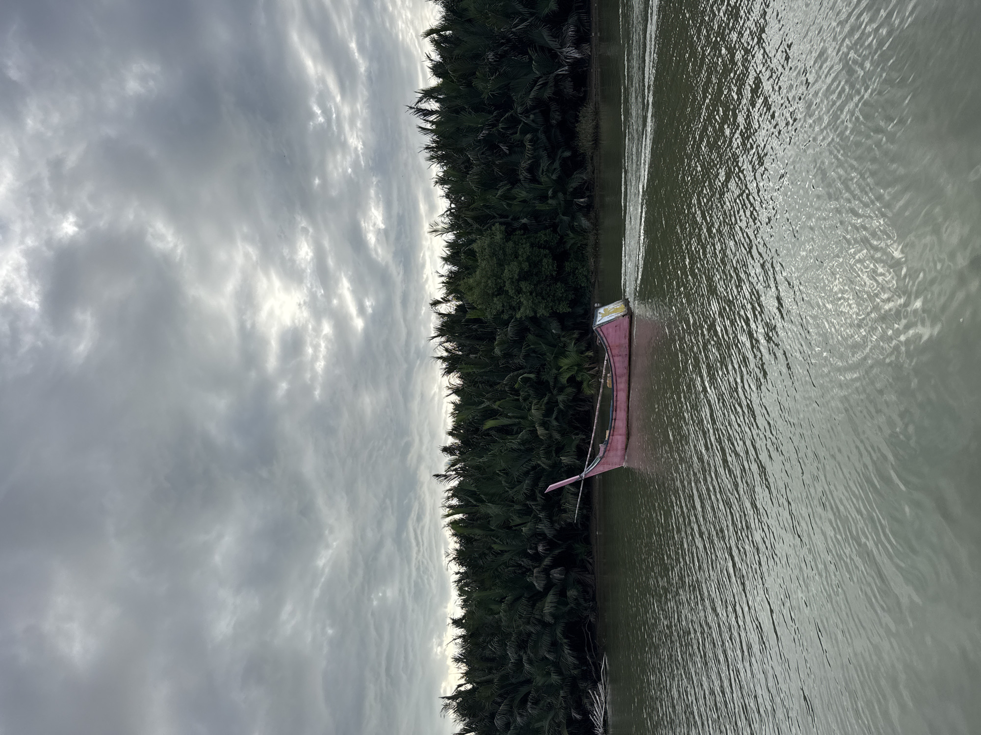 A pink and yellow boat with a sharp bow is gently floating on a river. The boat is positioned at an angle, with its bow pointing towards the right side of the frame. The water surrounding the boat is calm and reflects the overcast sky. Along the riverbank, a dense line of dark green palm trees stretches as far as the eye can see, creating a lush and natural backdrop. The sky above is filled with dramatic, gray clouds, suggesting a moody or possibly approaching rain. The overall scene depicts a serene moment in a natural river setting, possibly in the Reudeuep region of Indonesia. The lighting indicates it is likely late afternoon or early morning, given the diffused light and cloudy conditions. There is no visible text in the image.