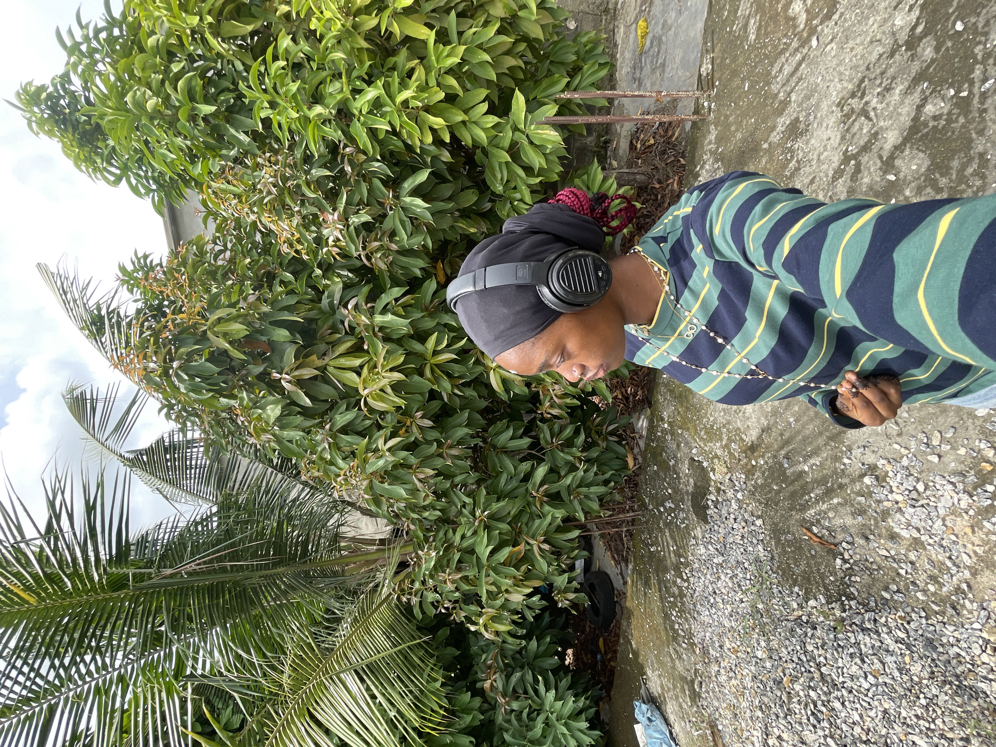 A person is captured in a vertical, outdoor shot, standing amidst lush green foliage. The individual, who appears to be female, is wearing a black head covering, possibly a turban, with hints of red braided hair or fabric peeking out from the back. Large black over-ear headphones rest on their ears. They are dressed in a long-sleeved polo-style shirt featuring prominent navy blue, green, and yellow horizontal stripes. Around their neck, a multi-layered gold-colored necklace with small beads is visible. The person is looking downwards and slightly to their right, with one hand visible, which appears to have a small tattoo or design on the back.
The setting is outdoors with abundant tropical-looking vegetation. To the left, large fronds of a palm tree are visible, extending towards a bright, cloudy sky. Directly behind the person and filling much of the background is a dense hedge of green bushes, some with lighter green or reddish-tinged new growth. The ground beneath them is a mix of rough concrete and light-colored gravel. In the foreground, on the gravel, a small reddish-brown lizard is discernible. Further back, near the base of the bushes, some discarded items, including a tire, are partially visible. The scene is brightly lit, suggesting it is daytime with good sunlight. The overall impression is a casual outdoor moment in a verdant environment, possibly in Ado, Nigeria. No visible text is present in the image.