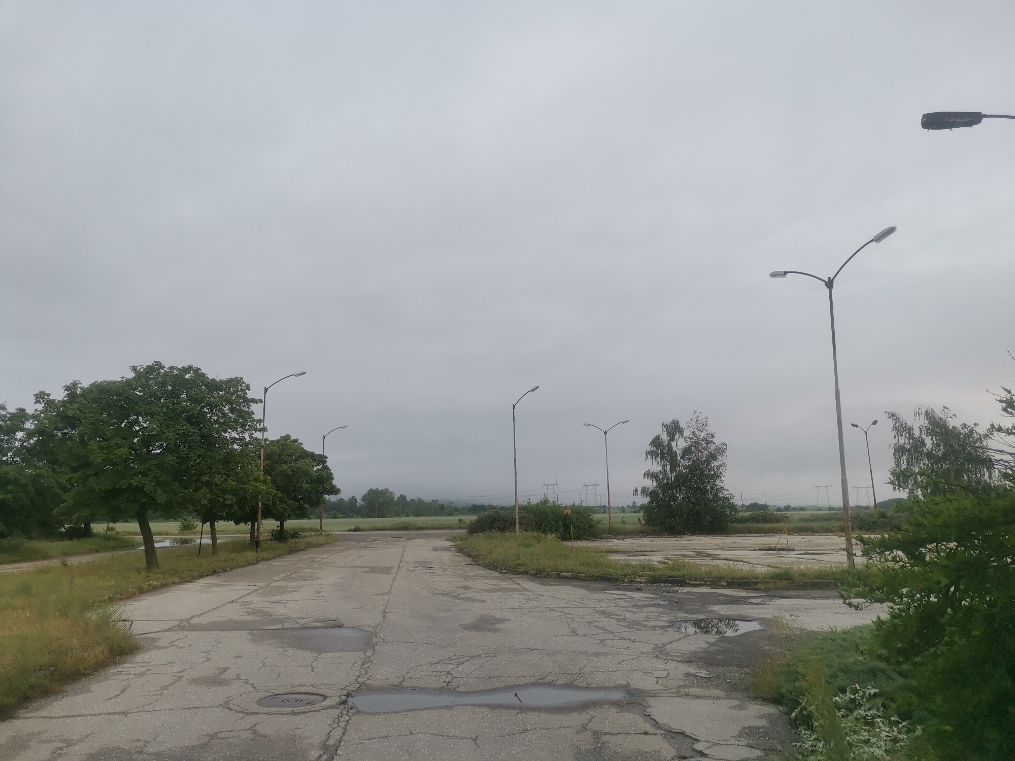 The image captures an expansive, neglected outdoor paved area, likely a former parking lot, under a uniformly overcast sky. The concrete and asphalt surface is heavily damaged, characterized by extensive cracking, potholes, and standing puddles reflecting the muted grey sky.
On the left side, a line of mature, dark green trees stands beside the crumbling pavement, with a dirt track running parallel to it. Overgrown grass, weeds, and bushes protrude through cracks in the pavement and along its edges, indicating a significant period of disuse.
Multiple streetlights are scattered across the scene. Those on the left are taller and slender, while others further back and to the right have varying designs, some featuring dual lights. In the middle distance, a cluster of light-leafed trees and dense scrub partially obscure the view.
Beyond the immediate foreground, flat, green agricultural fields stretch towards a hazy horizon. Faintly visible in the far distance are several metal power line towers, suggesting the presence of a utility infrastructure nearby.
The overall atmosphere is one of stillness and decay. The overcast conditions provide a soft, diffused light, typical of a heavily cloudy or possibly humid day. There are no people or animals visible, emphasizing the sense of abandonment. The scene is set in Zhivkovo, Bulgaria. No visible text is present in the image.