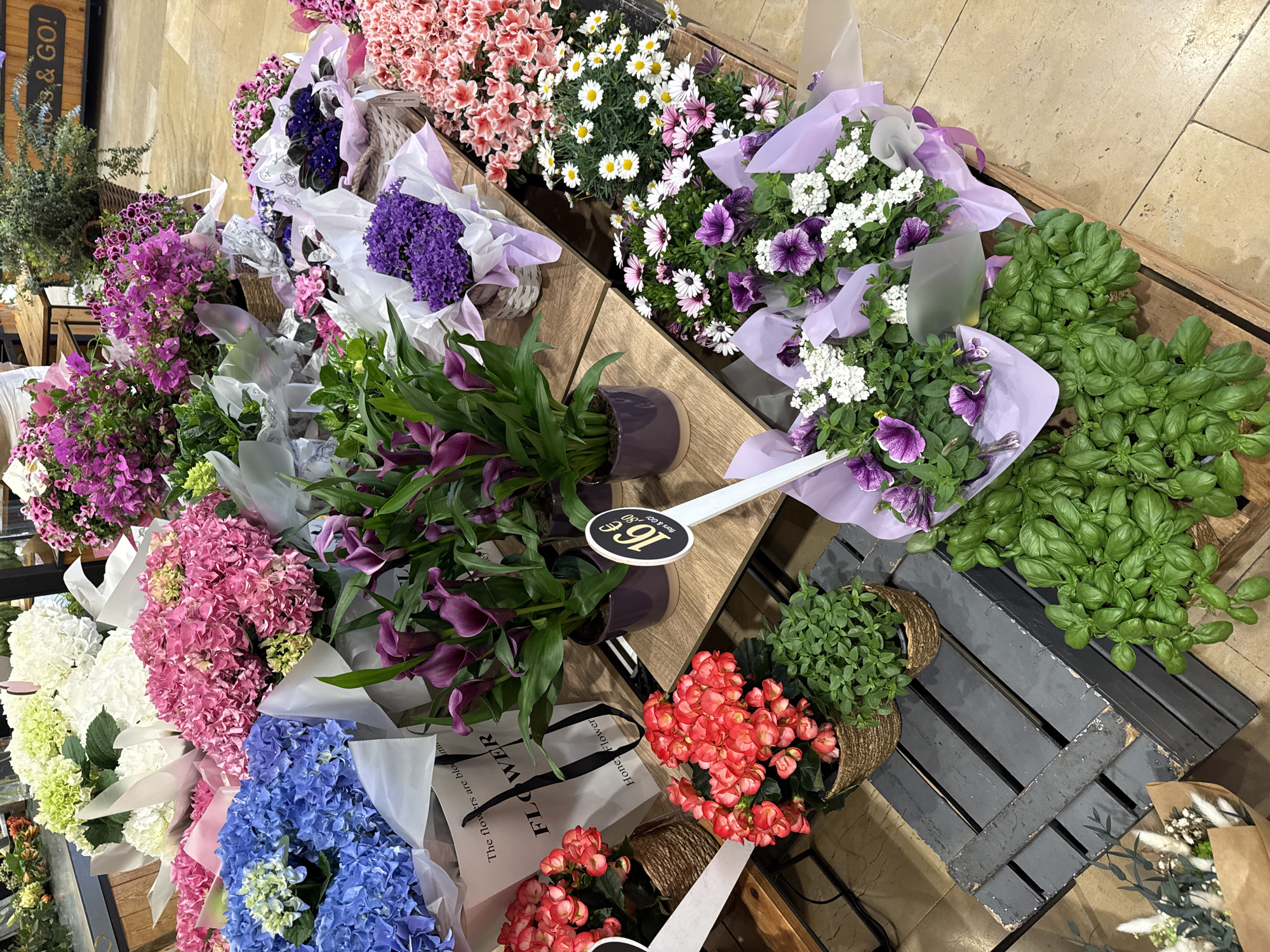 This image captures a vibrant and diverse display of fresh flowers and plants, likely in an indoor retail setting such as a market, supermarket, or flower shop in Barcelona, Spain. The items are arranged on wooden crates and stands, creating a rustic yet appealing presentation.
Numerous bouquets and potted plants are visible. Among the flowers are large arrangements of pink, white, and blue hydrangeas, purple calla lilies in dark pots, and pink bougainvillea. Further back, there are potted pink azaleas, white and pink daisies, and arrangements of purple hyacinths. White and purple petunias or similar small flowering plants are displayed, often wrapped in light purple paper. Various green leafy plants, including abundant basil plants, are also part of the selection. Most bouquets are wrapped in white or light purple paper or fabric, while some smaller plants are held in woven baskets.
The activity depicted is the sale or presentation of flowers. A white price tag prominently displays "16€," indicating a price in Euros. The text "flors & GO!" is visible on the price tag and a partial wooden sign, which is Catalan for "flowers & GO!". A white paper bag in the foreground features the text "FLOWER," "Hone Flower," and "The flowers are bloom." A small "I love you" tag is visible on one of the wrapped bouquets. The floor is made of light-colored tiles. The overall impression is one of freshness, variety, and an inviting retail environment.