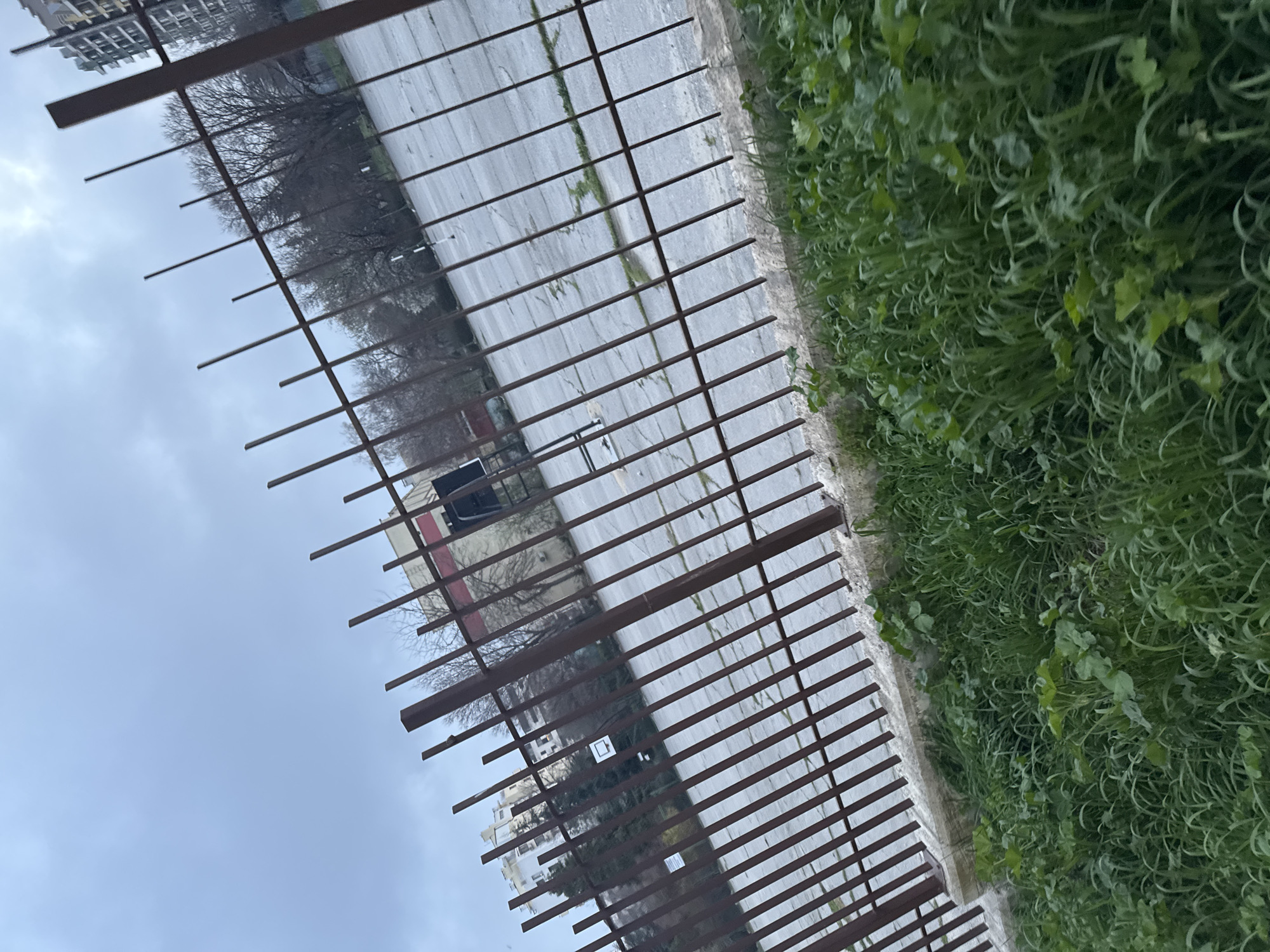 The image depicts a view through a metal fence. On the right of the fence is green grass. Beyond the fence lies a wet, paved surface. Further in the distance are trees with bare branches and buildings. Given the context, the location is likely Varna, Bulgaria. The sky is overcast, suggesting a cloudy day. There are no visible people, subjects, objects, actions, or interactions beyond the vegetation, fencing, and background scenery.