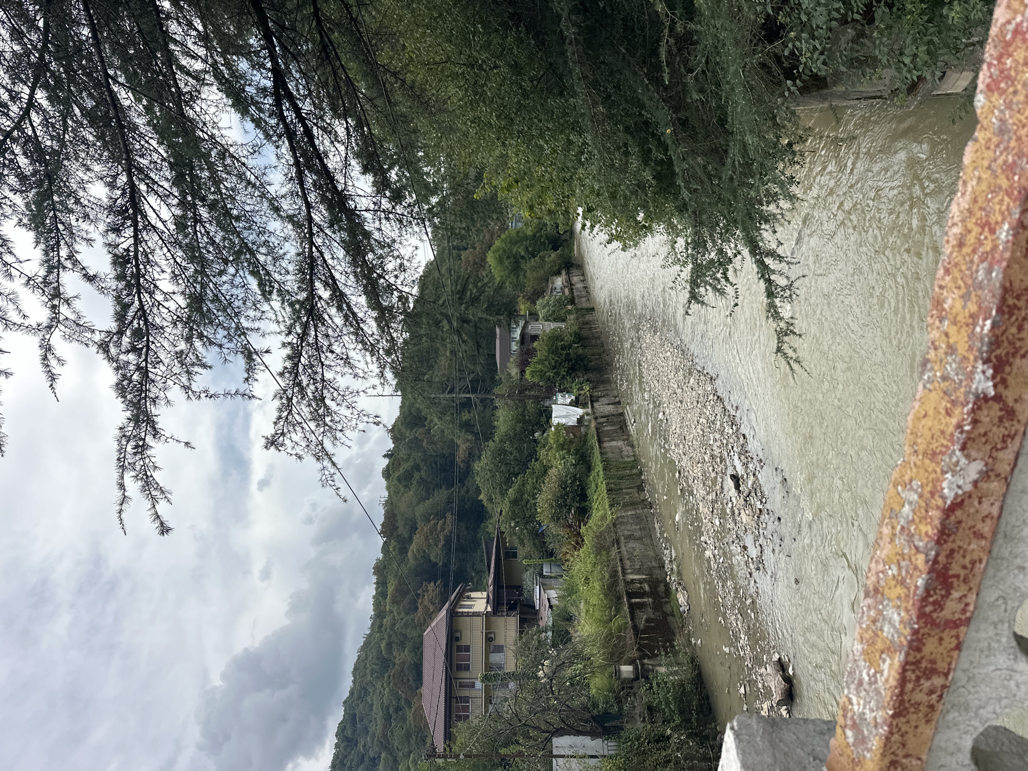 An overcast day in Sochi, Russia, shows a wide, muddy river flowing through a densely vegetated valley. The river is shallow, with a rocky bed visible in places. Along the left bank, a concrete retaining wall separates the river from a narrow strip of land covered in overgrown grass and shrubs. Behind this, a multi-story building with a red roof and yellow facade stands, surrounded by trees. A second, smaller building is visible further down the riverbank. The right bank of the river is covered in thick green foliage, with trees extending over the water. In the foreground, the edge of a bridge railing, painted with red and orange streaks over a weathered grey base, is visible. The sky is cloudy, with a few breaks of lighter grey suggesting the presence of the sun. The scene conveys a sense of a rural or suburban area within the city, characterized by its natural landscape and modest infrastructure.