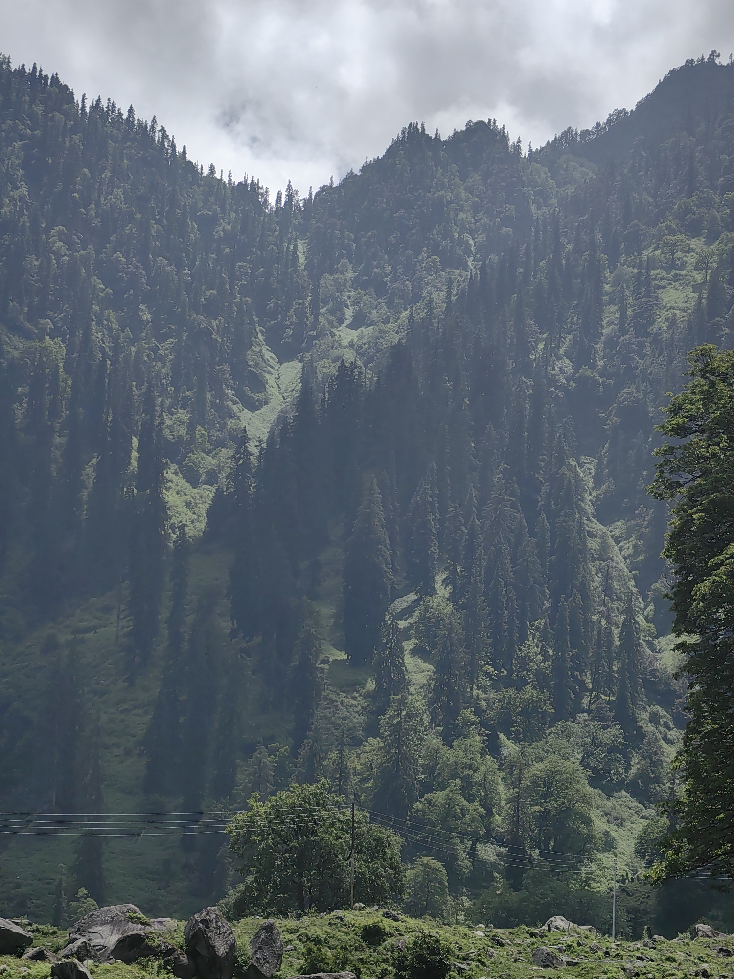 The image shows a lush green mountain slope covered in dense evergreen trees. The sky above is overcast with dramatic, dark clouds. In the foreground, there are large rocks and vegetation. Power lines are visible stretching horizontally across the midground, with a pole on the right side. The overall scene depicts a natural, mountainous landscape in a rural or remote area. The location is identified as Solang, India.