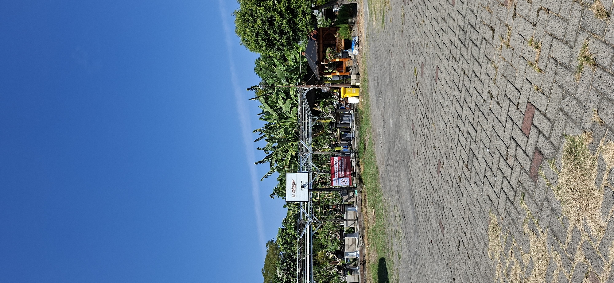 The image captures a sunlit outdoor scene, possibly a recreational area or park, under a clear blue sky. In the mid-ground, a white basketball backboard with a red trim is visible, mounted on a pole and surrounded by a metal frame structure. To the left of the basketball hoop, several potted plants, including bonsai, are displayed on stands. A red banner with Indonesian text and a prohibition symbol is also present, suggesting rules or regulations for the area. Behind these elements, lush green banana trees and other foliage create a dense, tropical backdrop.
To the right of the basketball hoop, a small wooden gazebo with a dark, multi-faceted roof stands. Nearby, a yellow trash bin and other items are placed on the ground. The foreground is dominated by a paved area made of grey interlocking bricks, some of which are interspersed with patches of dry grass and weeds. The overall impression is one of a well-maintained but informal outdoor space. The presence of the basketball hoop and the greenery suggests it might be a community area or part of a larger facility. The clear sky and bright sunlight indicate a warm day. The context of Surabaya, Indonesia, suggests a humid, tropical climate.