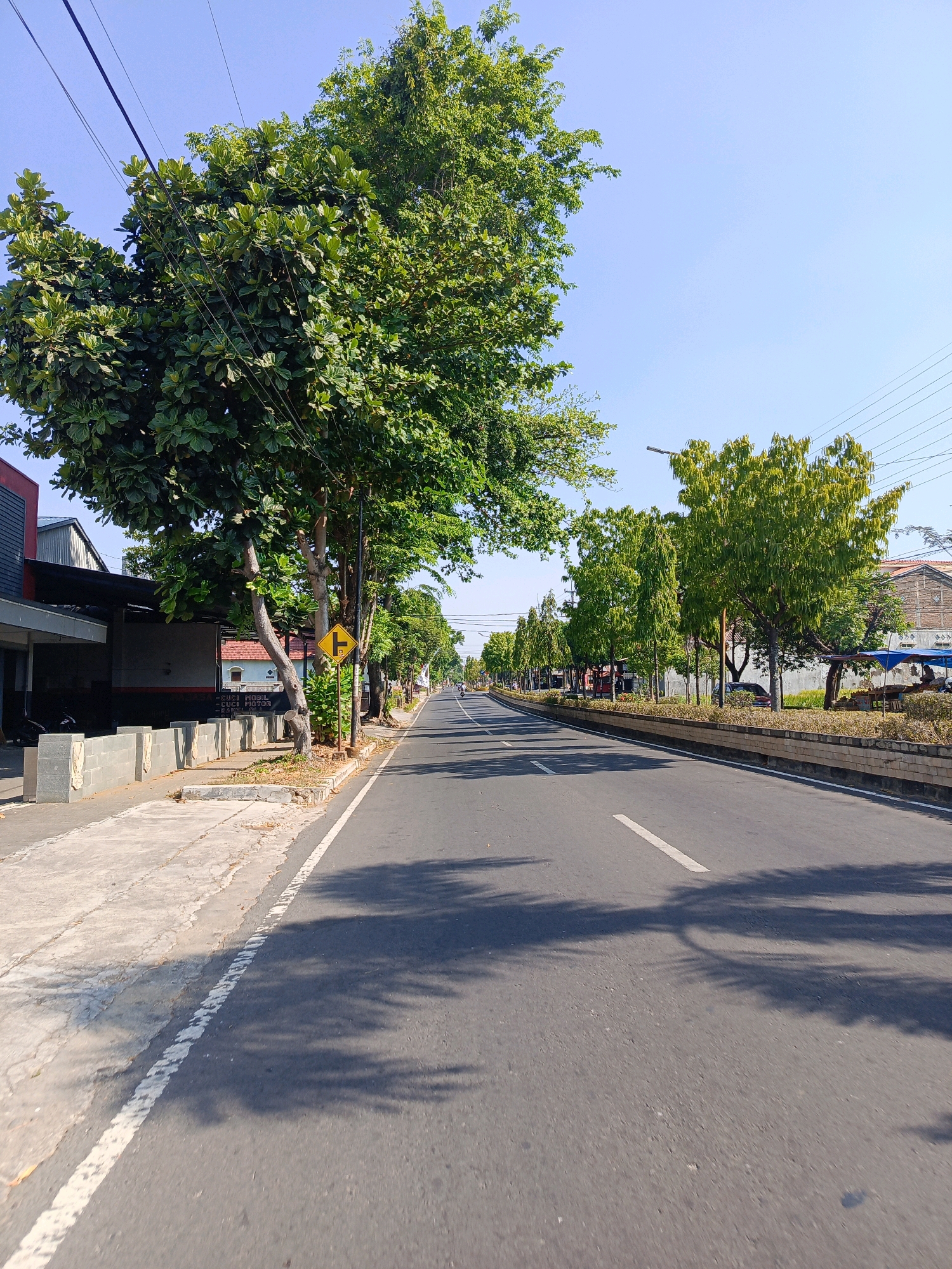 The image depicts a street scene in Milangasri, Indonesia. The asphalt road runs through the center of the frame, with a white line dividing the lanes. On the left side of the road, there is a sidewalk made of concrete blocks, followed by a low stone wall. Behind the wall are buildings with dark roofs and what appears to be a commercial establishment. Tall trees with lush green foliage line the left side of the road, casting shadows on the pavement. On the right side of the road, there is a strip of vegetation and more trees. The sky is clear and blue. There are utility wires strung across the scene. A yellow traffic sign with an arrow pointing left and a turning lane symbol is visible on the left side of the road. The overall impression is of a sunny day on a well-maintained street in a populated area.