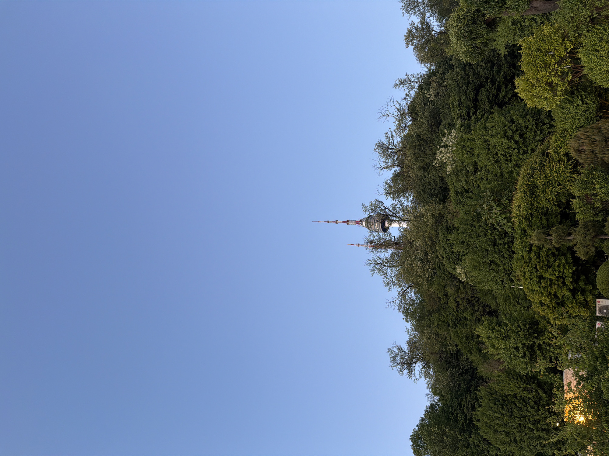 The image shows N Seoul Tower in Seoul, South Korea, peeking above a dense green forest. The tower is tall and slender, with a white base and a red and white spire. The sky is a clear, bright blue. The trees are lush and green, with various shades of foliage. The overall scene conveys a sense of urban nature and the presence of a prominent landmark.