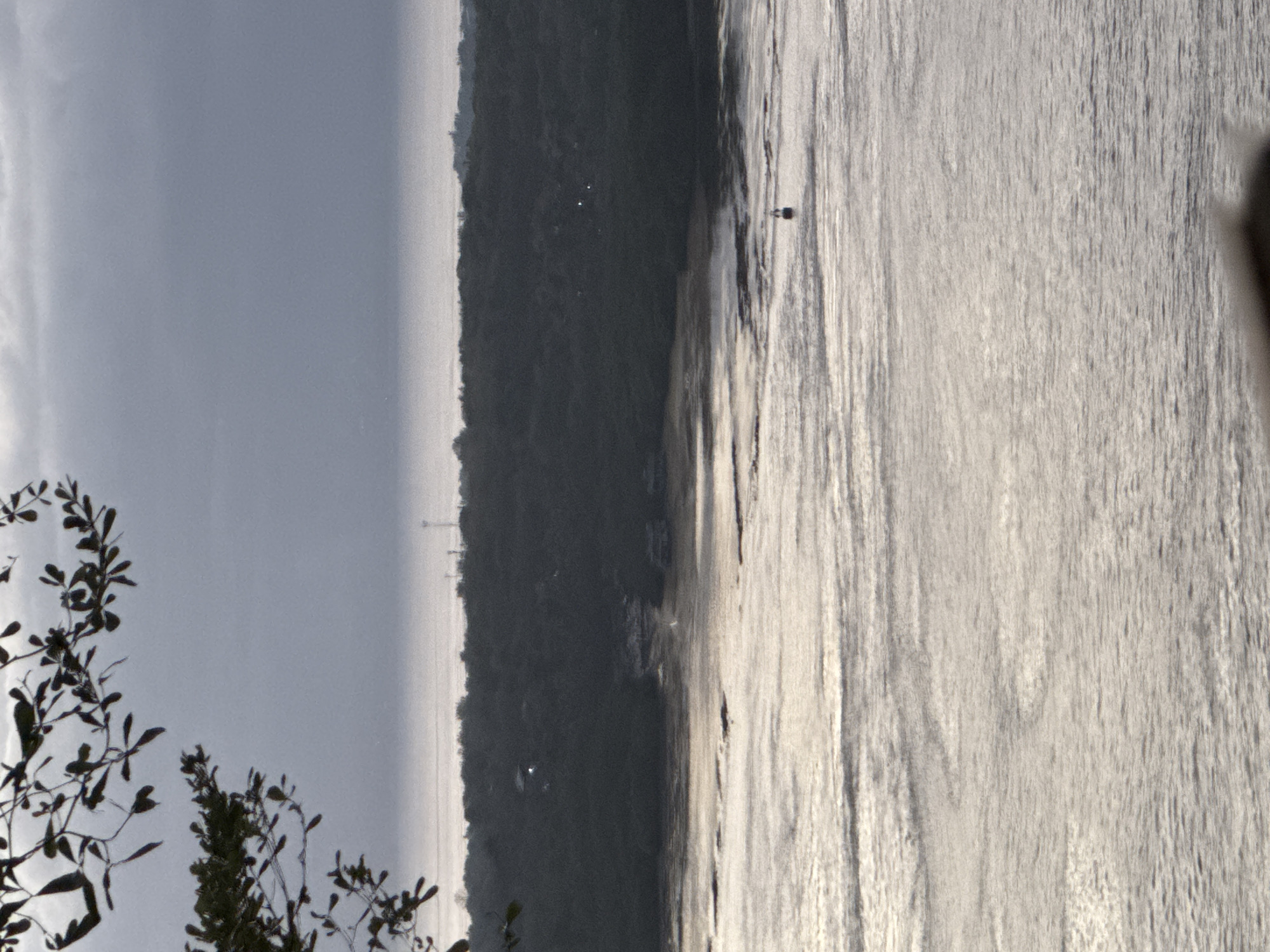 The image depicts a serene coastal landscape with a body of water in the foreground and a densely forested hill in the background. The water exhibits a textured surface, reflecting the subdued light of what appears to be early morning or late evening. A small, dark buoy with a white top floats on the water, serving as the only distinct object within the expanse.
The hill behind the water is covered in lush, dark green foliage, obscuring any clear details of what lies beneath. However, faint lights suggest the presence of structures or human habitation nestled within the trees. On the horizon, beyond the hill, a thin line of lighter haze separates the land from the sky. The sky itself is overcast, with soft clouds creating a muted, diffused light that bathes the entire scene in a gentle glow.
In the upper left corner, the dark silhouettes of tree branches with small leaves frame the scene, adding a natural border to the composition. The overall impression is one of tranquility and natural beauty, with a hint of human presence subtly integrated into the environment. The image appears to capture a moment of calm at the coast of Nusa Penida, Indonesia.