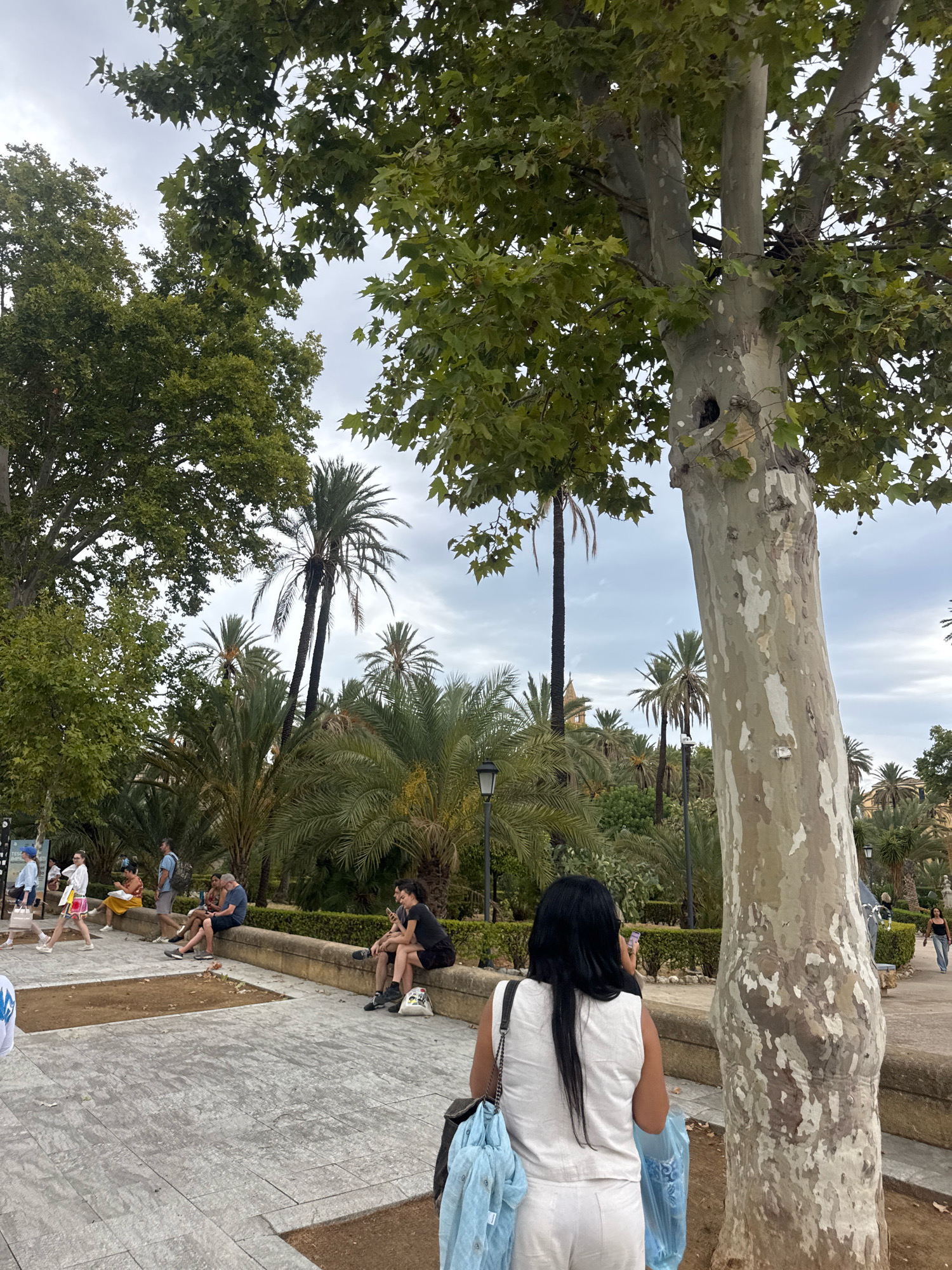 This image captures a scene in Palermo, Italy, likely within a park or garden area with lush vegetation. In the foreground, a woman with long dark hair, wearing a white sleeveless top and white pants, stands with her back to the camera, holding a phone up as if taking a picture. She is carrying a black bag over her shoulder and has a light blue garment draped over her arm, with a blue plastic bag at her feet. To her right, a large tree with mottled bark dominates the frame, its branches reaching upwards and partially obscuring the sky.
Behind the woman, a stone wall serves as a seating area for several individuals. On the left, a group of people are seated and standing, some appearing to be engaged in conversation. A woman in a yellow skirt and white top is sitting, while another woman walks past. To the right on the wall, a couple is seated closely together, both looking at their phones.
The background is filled with a variety of palm trees and other greenery, suggesting a warm climate. The sky is overcast with clouds. The ground in front of the wall is paved with large grey stones, with patches of disturbed earth. Further in the background, lampposts are visible, and more trees and architectural elements can be discerned, hinting at a public space within the city.