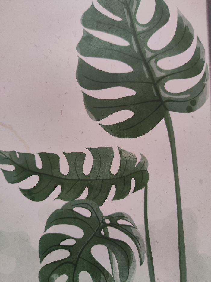 This image, originating from Astanajapura, Indonesia, displays a static, illustrative representation of three stylized dark green Monstera plant leaves against a plain, light-colored background. The uppermost leaf, prominently featured at the upper right and partially cropped, is large and exhibits characteristic deep lobes and fenestrations. Below and to the left, a second, elongated leaf, also partially cropped, extends horizontally, displaying similar serrated edges and distinct perforations. A third, smaller, more rounded leaf is situated at the lower left, with visible fenestrations. Each leaf is depicted with a visible stem extending downwards. The background is an off-white, uniform surface, appearing to be paper or canvas, with minor textural irregularities. No individuals, animals, or other animate subjects are present. No actions or interactions are depicted within the scene. The environment is limited to the abstract background of the artwork itself.
