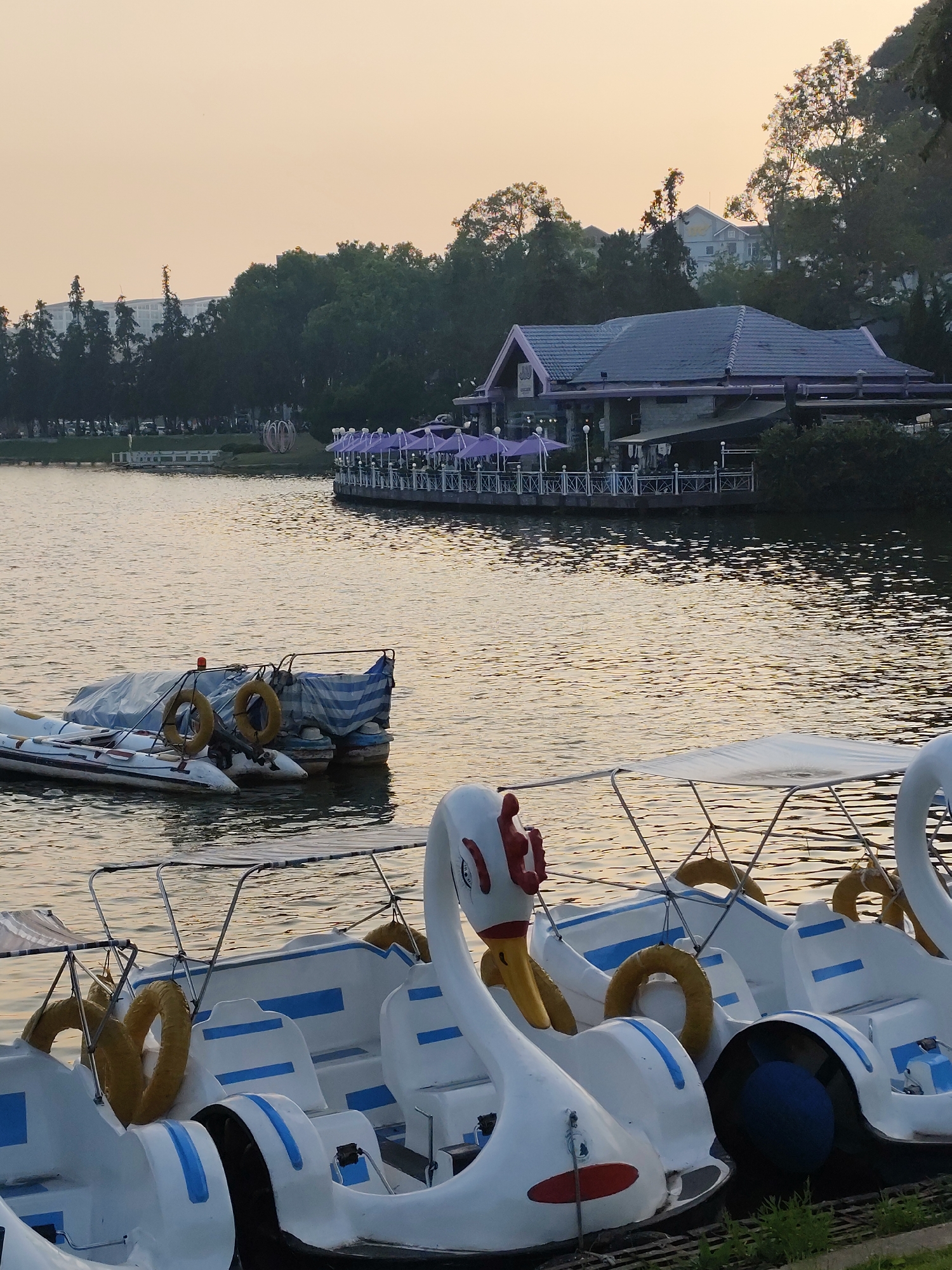 The image depicts a tranquil lake scene in Da Lat, Vietnam, characterized by swan-shaped pedal boats docked in the foreground. These boats are predominantly white with blue trim and feature yellow life preservers. Behind them, partially submerged, are covered inflatable boats with orange life preservers. The water reflects the soft light of the sky, suggesting either sunrise or sunset. In the background, a building with a dark roof and purple umbrellas on an extended deck stands alongside the water. Trees and additional buildings are visible in the distance, enhancing the landscape. The overall scene evokes a sense of calm and leisure.