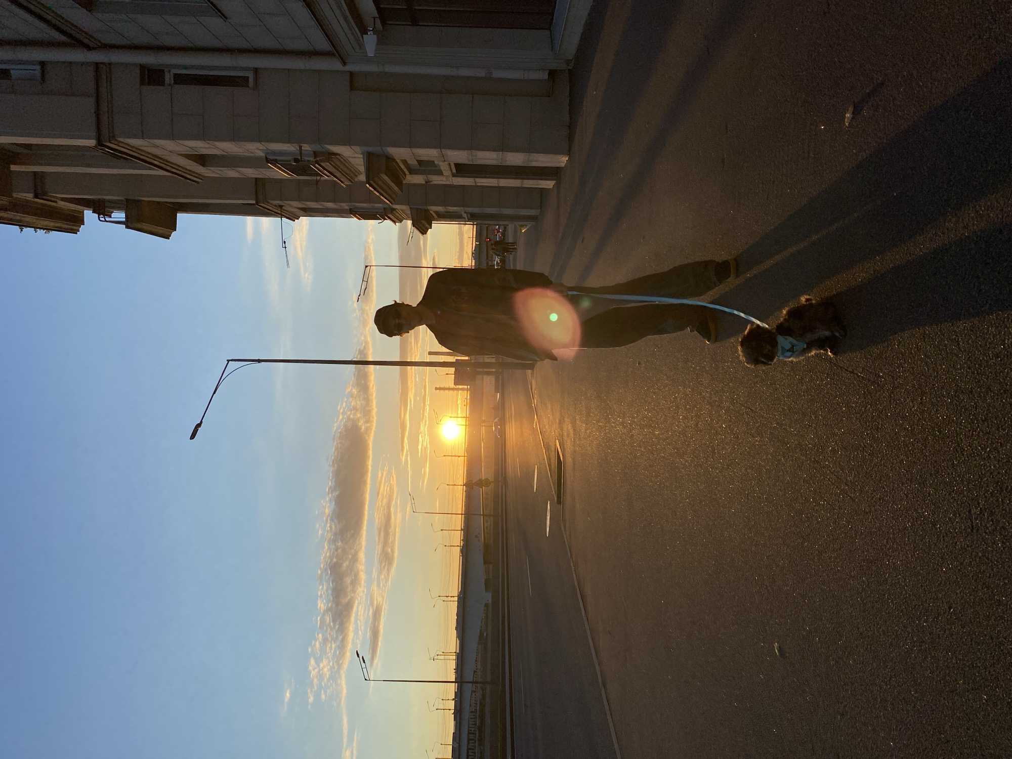 A full-body, low-angle, silhouetted shot captures a person walking a small, brown, fluffy dog on a leash during sunset in Saint Petersburg, Russia. The person is wearing a baseball cap, sunglasses, a jacket, and loose-fitting pants. The dog is wearing a light-colored bandana. They are standing on an asphalt sidewalk, casting long shadows across the street. To the right of the frame is a multi-story, light-colored stone building with architectural detailing. The street features a pedestrian walkway, multiple streetlights, and a bridge in the background, illuminated by the setting sun. The sky is a clear blue with scattered, wispy clouds tinged orange and yellow from the sunset. The sunlight reflects off the wet asphalt, creating a glistening effect.