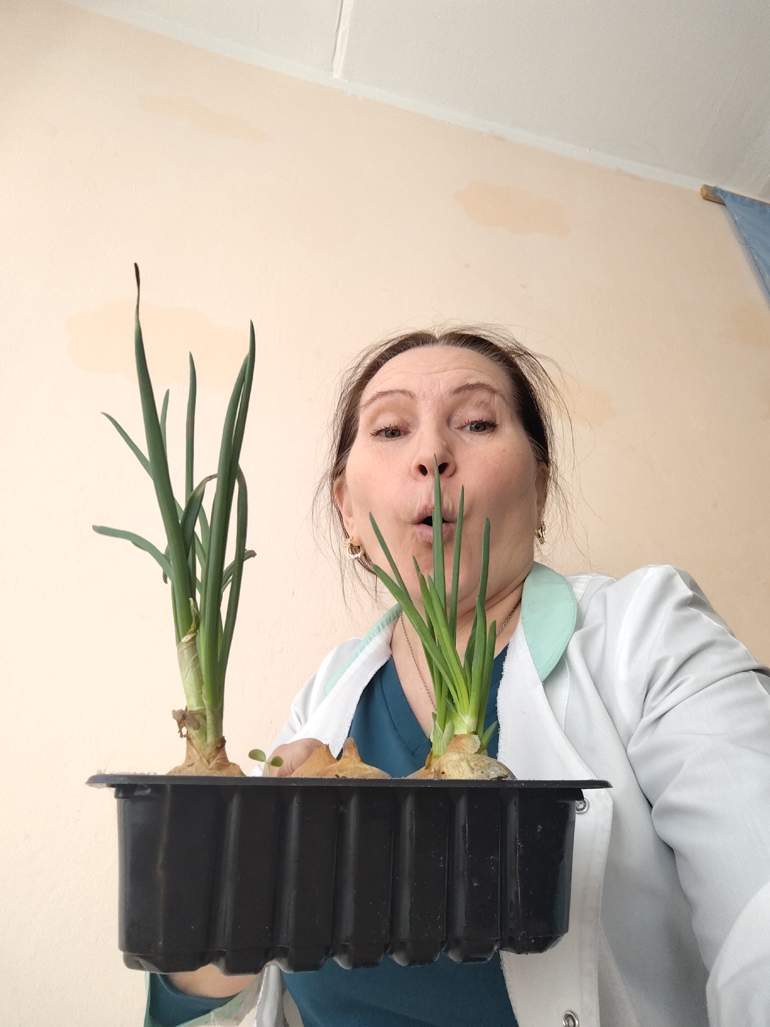 A medium, close-up shot captures a woman holding a black seedling tray with two clumps of sprouted onions, each sprouting in its own compartment. The woman has medium-length brown hair pulled back, light skin, and is wearing a white lab coat over a teal-colored top. She has a surprised facial expression, with her mouth open and her eyes wide. Some of the onion sprouts are pointed toward her mouth. The background consists of a light peach-colored wall with some discoloration and a partial view of a white ceiling. A blue curtain is visible in the upper right corner. It is in Sarapul, Russia.