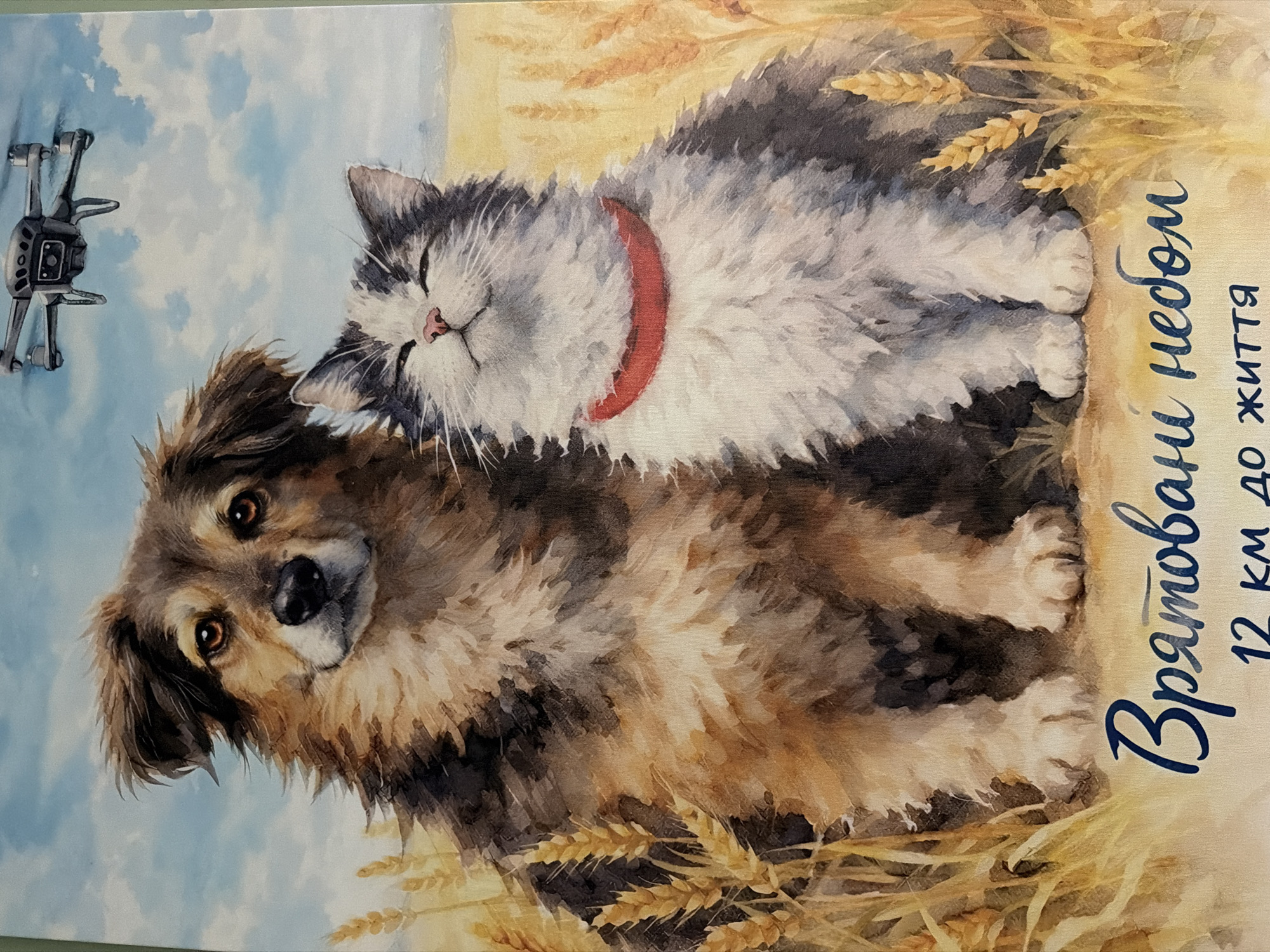 This is a watercolor painting of a dog and a cat in a field of wheat under a cloudy sky. The dog, a medium-sized mixed breed with brown and black fur, is in the foreground, looking directly at the viewer with a curious and gentle expression. Its head is tilted, and its ears are perked. Behind the dog, a fluffy gray and white cat with a red collar is resting, its eyes closed and a serene expression on its face, seemingly asleep. To the left of the animals, a small drone is visible, suspended in the sky. The scene evokes a sense of peace and companionship between the animals, with the drone suggesting a modern, perhaps unexpected, element. The setting appears to be a rural landscape during the daytime, under a sky with white and gray clouds.
The image also contains Ukrainian text written in a calligraphic font. The visible text reads: "Врятовані Небом" which translates to "Saved by the Sky". Below this, further text reads "12 км до життя", meaning "12 km to life". This text adds a narrative layer to the artwork, hinting at a story of rescue or a journey. The overall mood is warm and comforting, despite the unusual presence of the drone.