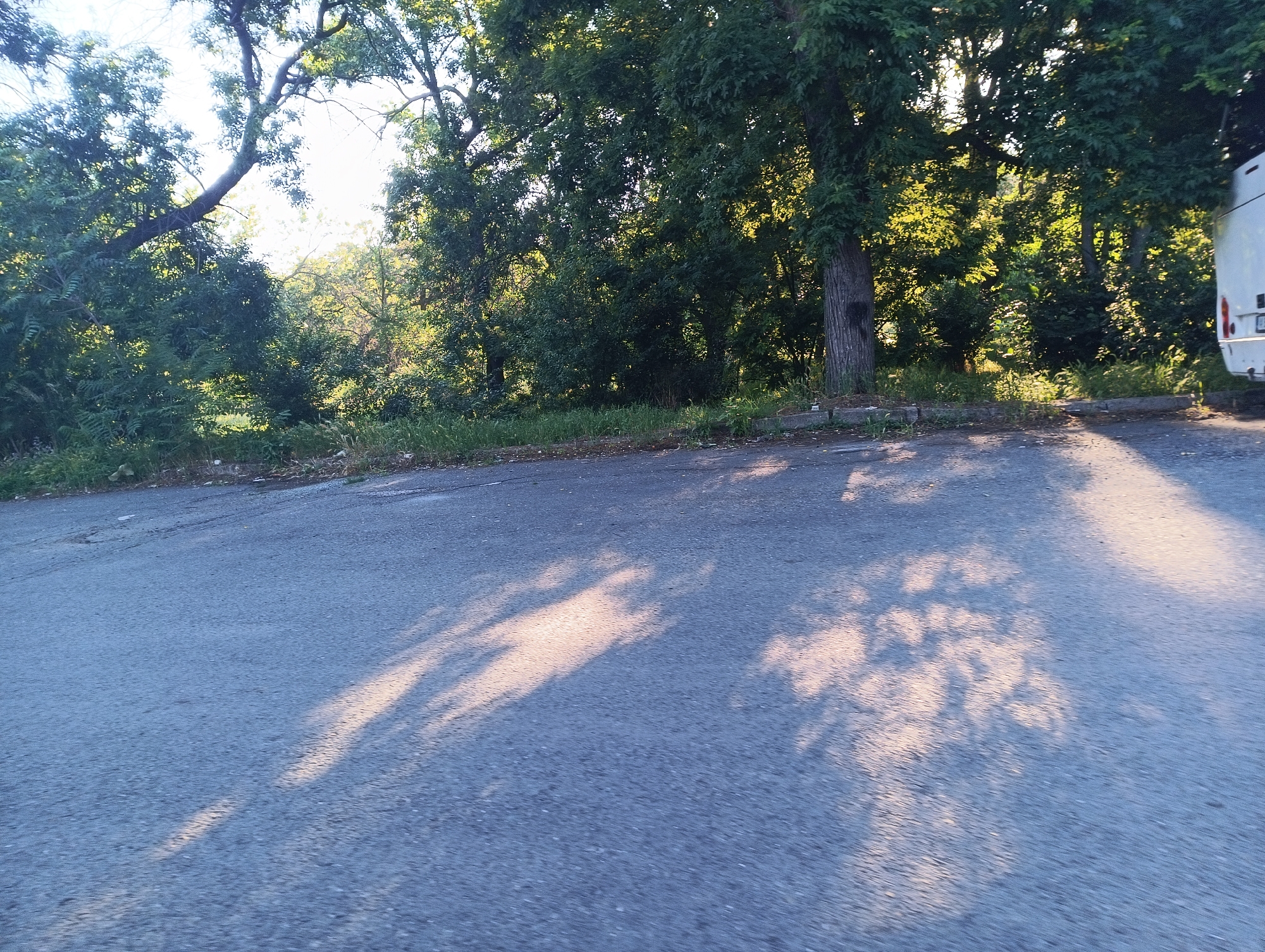 The image captures a scene from a city street in Karnobat, Bulgaria. In the foreground, a paved road with shadows of trees cast upon it is visible. The road appears to be an asphalt surface, with subtle variations in color and texture. To the left and in the background, a dense cluster of lush green trees forms a thick foliage barrier. Sunlight filters through the leaves, creating dappled patterns on the road and enhancing the vibrant green of the vegetation. On the far right edge of the image, the rear section of a white bus is partially visible, suggesting the presence of transportation or a parked vehicle. The overall environment conveys a sense of a well-treed urban area, likely during daytime.