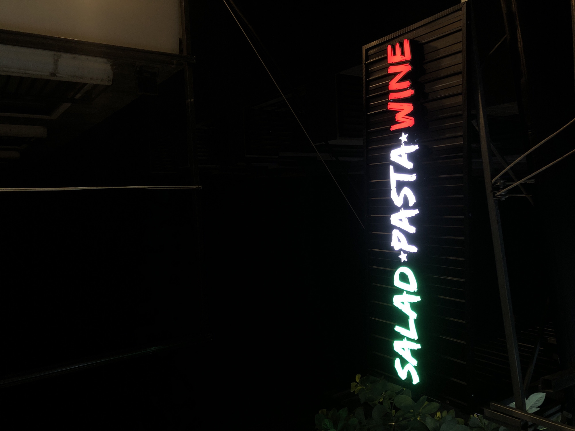 A neon sign that reads "SALAD PASTA WINE" is illuminated against a dark night sky. The "SALAD" portion is green, the asterisk in between is white, "PASTA" is white, and "WINE" is red. The sign is mounted on a dark corrugated metal awning. A dark silhouette of tree leaves is visible on the left side of the frame. The scene is outdoors, possibly in an urban setting in Da Nang, Vietnam, given the context.