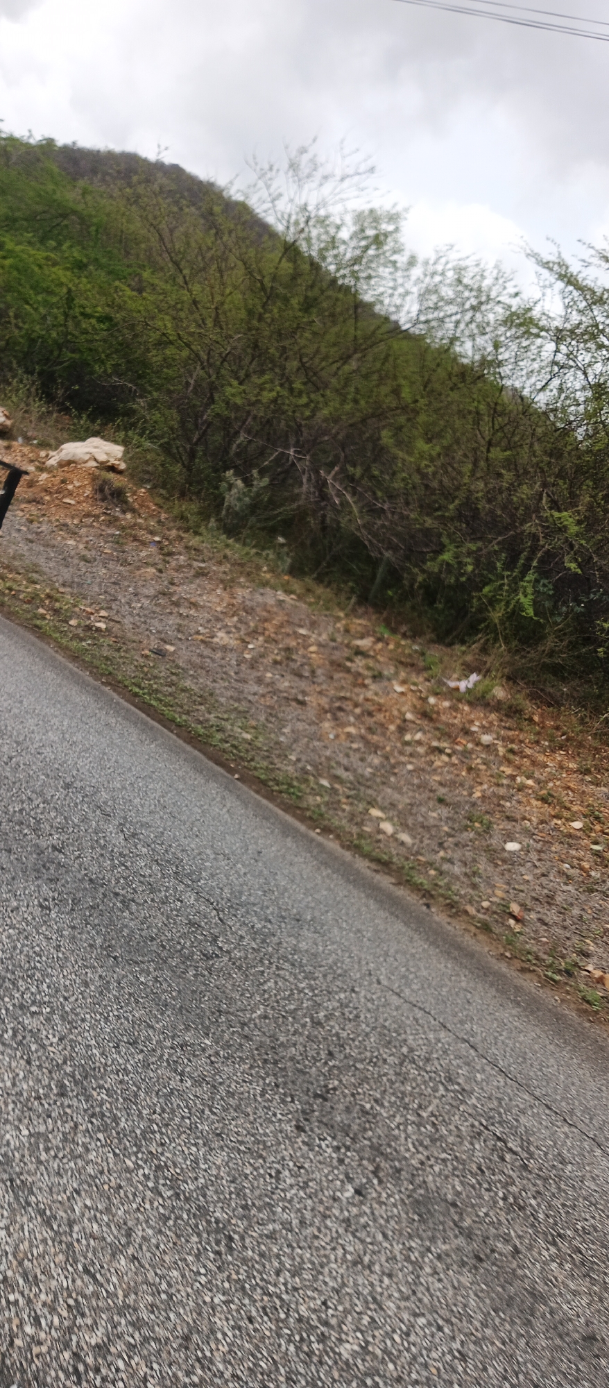 The image depicts a roadside scene in a hilly, vegetated area. A paved road, appearing somewhat weathered with visible cracks, occupies the foreground, angling from the bottom left towards the right side of the frame. The road surface is dark grey and textured.
To the right of the road, the terrain slopes upwards, covered in dry, reddish-brown soil interspersed with small rocks and patches of dry grass. Further up the slope, dense green vegetation, consisting of trees and shrubs, covers the hillside. The foliage is thick and appears somewhat wild, with many bare branches visible among the leaves. The hillside rises steeply and merges into a darker, more densely forested area at the top of the frame.
The sky above is overcast with grey clouds, suggesting a cloudy or potentially rainy day. The lighting is diffused, with no harsh shadows. There are no people or animals visible in the image, and no specific man-made objects are clearly discernible apart from the road itself and possibly some indistinct litter on the roadside. The overall impression is one of a natural, somewhat rugged environment bordering a road. The scene evokes a sense of remoteness and natural beauty, possibly experienced while traveling. No text is visible in the image.