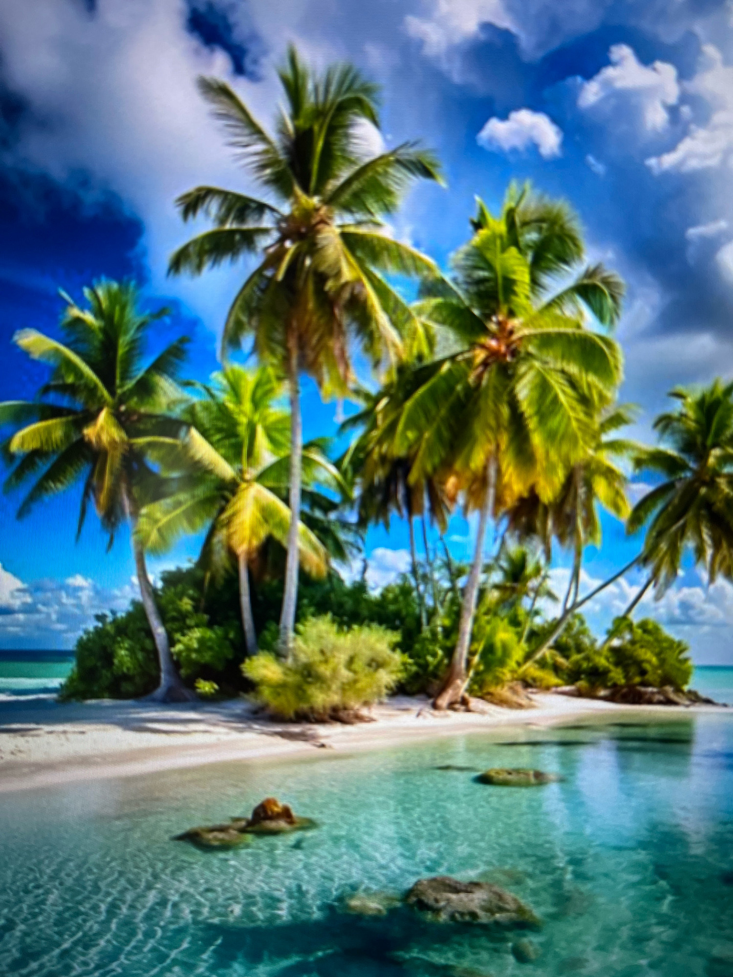This image depicts a tropical island scene. It features several palm trees with lush green fronds, some bearing coconuts, set against a backdrop of a bright blue sky with white and grey clouds. The island has a sandy beach that slopes down to clear, turquoise water. Rocks are visible submerged in the shallow water near the shore. The overall impression is one of a serene and idyllic coastal environment. This image is not of Novocheboksarsk, Russia, as the environment is clearly tropical and does not match the geography or climate of that city.