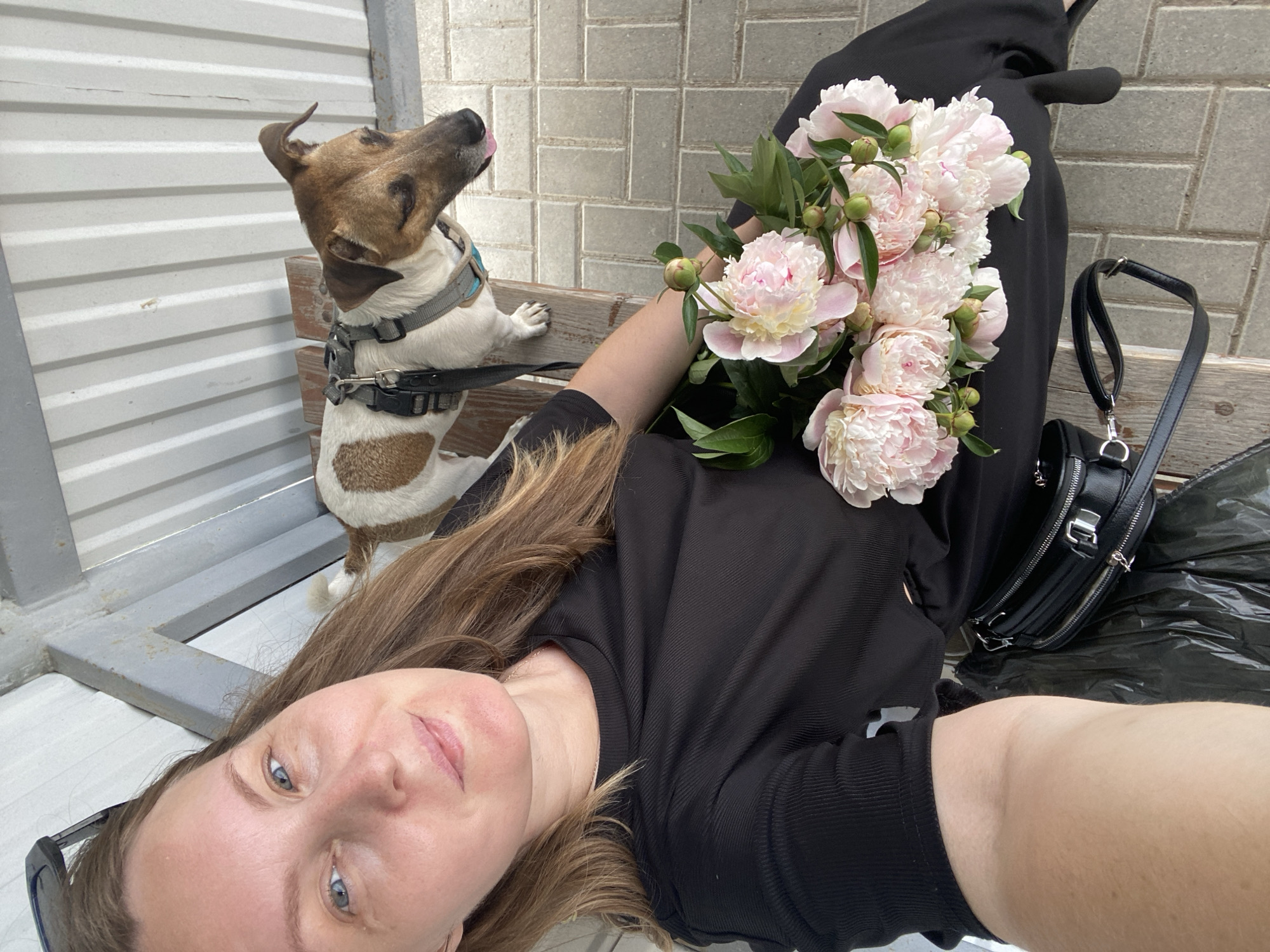 A woman with long, light brown hair and blue eyes is taking a selfie, seated on a wooden bench. She is wearing a black t-shirt and has a bouquet of pink peonies in her lap. To her right, a small dog, likely a Jack Russell Terrier with white and brown markings, stands on the bench, wearing a grey harness. The dog is looking to the right with its tongue slightly out. Behind them, a corrugated metal wall forms a partial roof. The ground is paved with grey brickwork. A black fanny pack and a black plastic bag are visible on the bench next to the woman. The scene appears to be outdoors, possibly in a park or public area within the city of Noviy, Russia.