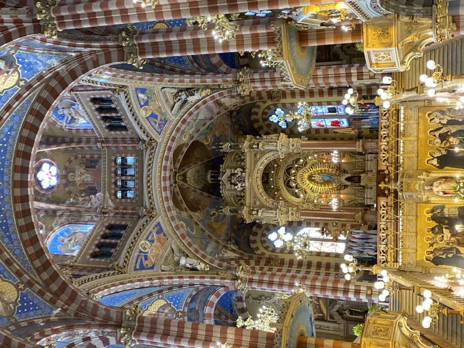 The image displays the ornate interior of the Basilica of Saint Rose of Lima (Basílica Santa Rosa de Lima) in the Balvanera neighborhood of Buenos Aires, Argentina. The perspective faces the high altar from the nave.
The basilica's architecture features massive vertical columns and sweeping arches adorned with alternating horizontal red and cream stripes, topped with intricate gold-colored capitals and moldings. The vaulted ceilings and central dome are extensively decorated with vivid murals depicting religious figures and scenes, set against a deep blue background with gold star patterns. A circular rose window is visible at the apex of the dome, with additional arched windows present in the upper sections.
The central focal point is a multi-tiered, gilded high altar, incorporating classical architectural elements such as columns and arches. A statue of the Virgin Mary, clad in light blue, is centrally positioned within a prominent niche in the high altar, surrounded by a golden halo. Large stained-glass windows flank the altar. Below the altar, a grand set of stairs with ornate balustrades and integrated light fixtures descends. Lower wall sections feature painted panels depicting groups of religious figures.
Numerous gold-colored chandeliers and wall-mounted light fixtures with spherical bulbs illuminate the space. Ornate pulpits or balconies, supported by striped columns, are visible on both sides of the sanctuary, featuring detailed carvings and gilding. A collection of flags is suspended vertically to the left of the main altar. No individuals are present within the captured scene.