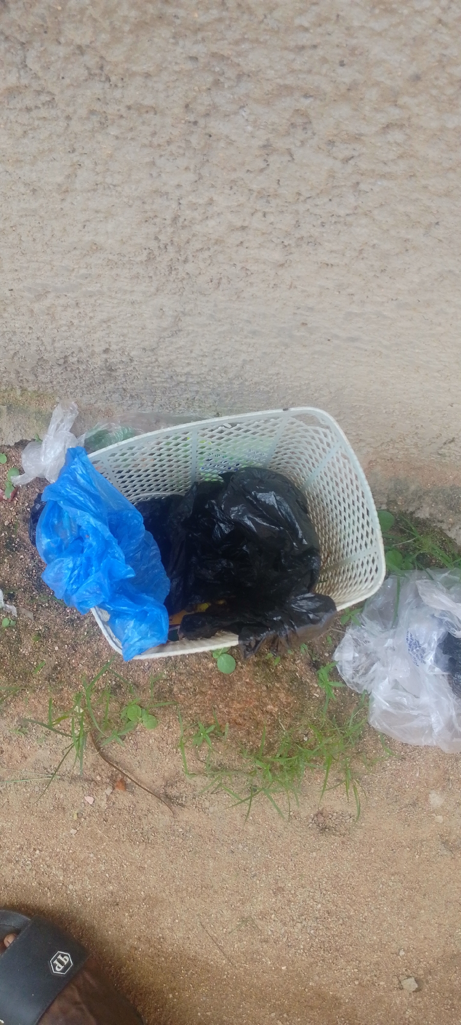 A white plastic basket filled with black and blue trash bags sits on sandy ground. A light-colored textured wall runs along the top of the frame, behind the basket. Patches of green grass grow around the basket and on the sandy ground. To the right of the basket, a crumpled white plastic bag lies on the ground, partially filled with dark-colored trash. In the lower left corner, a black sandal with a silver logo is visible. The scene appears to be outdoors, possibly in a yard or alleyway, given the sandy ground, grass, and the presence of trash. The lighting suggests it could be daytime, with overcast conditions based on the diffused light. There is no visible text in the image.