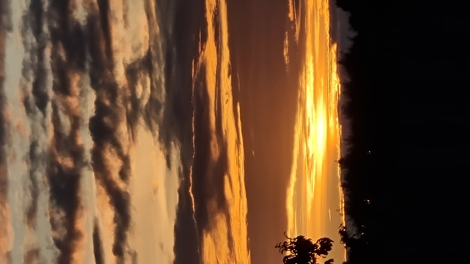 The image depicts a sunset over a silhouetted landscape. The sky is filled with clouds, ranging in color from dark gray to vibrant orange and yellow, with the brightest point of the sun just above the horizon. In the foreground, the dark silhouette of trees and foliage is visible against the bright sky. The bottom portion of the image is almost entirely black, obscuring any details of the ground. There are no people or discernible objects in the image, and the setting appears to be rural or natural, not specifically indicative of the city of Vysokoe, Russia.