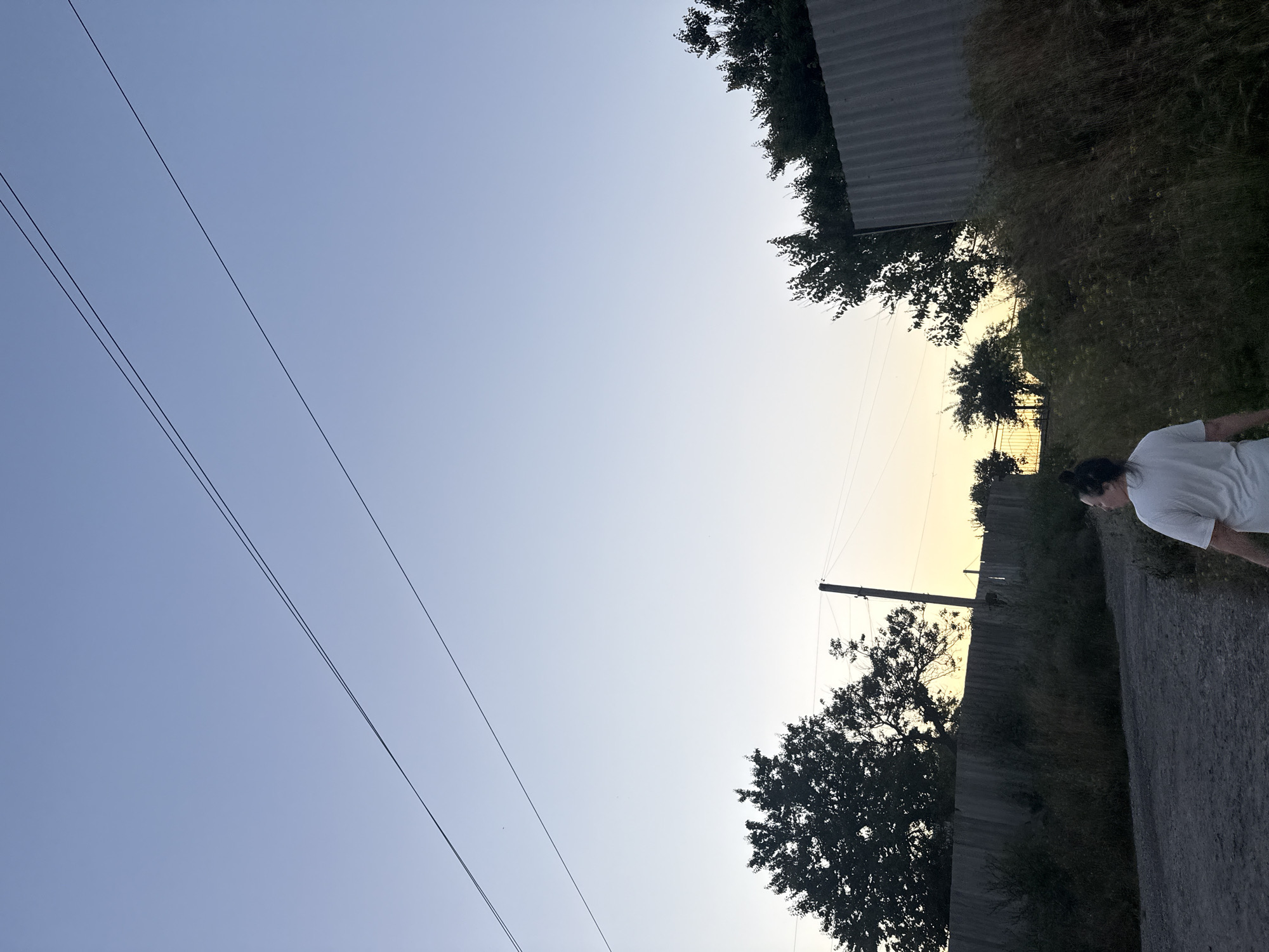 The image captures a serene sunset scene on a dirt path in Obukhivka, Ukraine. The sky is a gradient of pale blue to a soft yellow near the horizon, illuminated by the setting sun. Two parallel power lines stretch across the upper portion of the frame. In the foreground, a person with dark hair pulled back in a bun is walking away from the camera, wearing a white t-shirt. The path is made of gravel and dirt. To the left, a tall, dark green tree stands prominently, its silhouette a stark contrast against the sky. A weathered grey fence runs horizontally across the middle ground, separating the path from an area with overgrown dry grass and vegetation. On the right side of the image, another section of a grey, corrugated fence is visible. In the distance, beyond the fence and trees, a faint glow suggests the sun is low on the horizon. A wooden pole with electrical wires is also present, standing near the center of the frame. The overall atmosphere is peaceful and rural.
