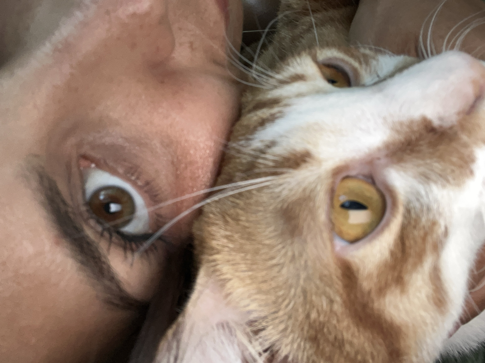 A close-up photograph shows a person's face pressed against an orange and white tabby cat's face. The person's left eye is open, revealing a brown iris. The cat's eye, also open, displays a yellow iris with a vertical pupil. The person's skin tone is tan, and the cat's fur is a mix of orange and white stripes. The location is not identifiable as Kuta Selatan, Indonesia from this image.