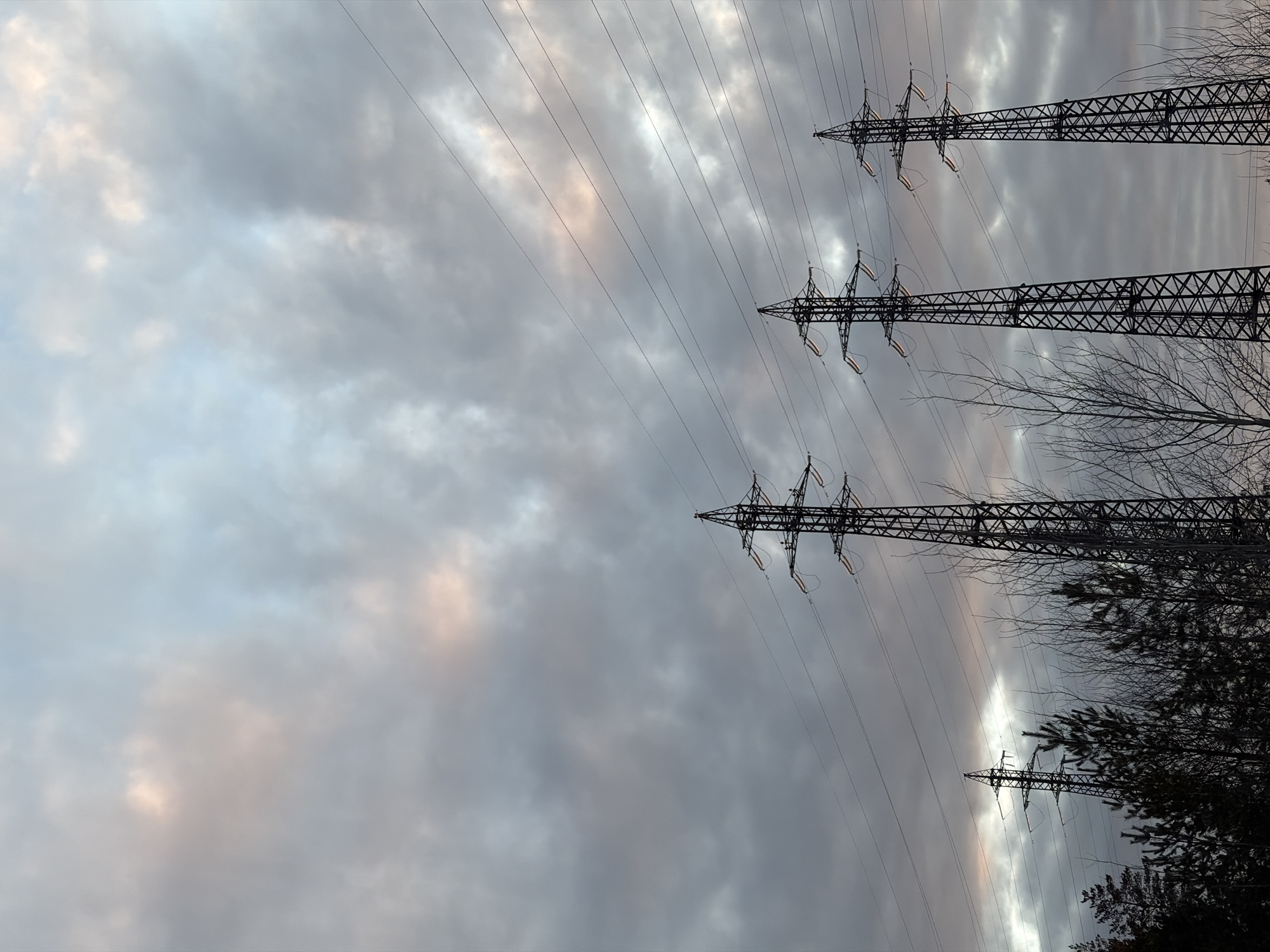 The image depicts a static outdoor scene in Noviy, Russia, characterized by a predominantly overcast sky and prominent electrical infrastructure. The sky occupies approximately two-thirds of the frame, filled with dense, textured grey clouds showing subtle patches of lighter blue and faint pinkish-orange hues, indicative of low light conditions such as dawn or dusk.
Four high-voltage electricity transmission towers (pylons) are positioned in a diagonal line across the lower half of the image, ranging from mid-left to mid-right. These lattice-steel structures are silhouetted in dark grey or black against the sky. Multiple power lines are visible, extending horizontally between the towers and across the upper sky, also appearing as dark, thin lines. White or light-colored insulators are discernible at the points where the power lines attach to the crossarms of the towers.
The lower quarter of the image displays a dense line of silhouetted trees, predominantly bare deciduous trees with thin branches extending upwards, interspersed with some darker, conical coniferous trees. No people, active subjects, or explicit interactions are visible within the frame. The environment suggests an area where natural landscape intermingles with industrial infrastructure.