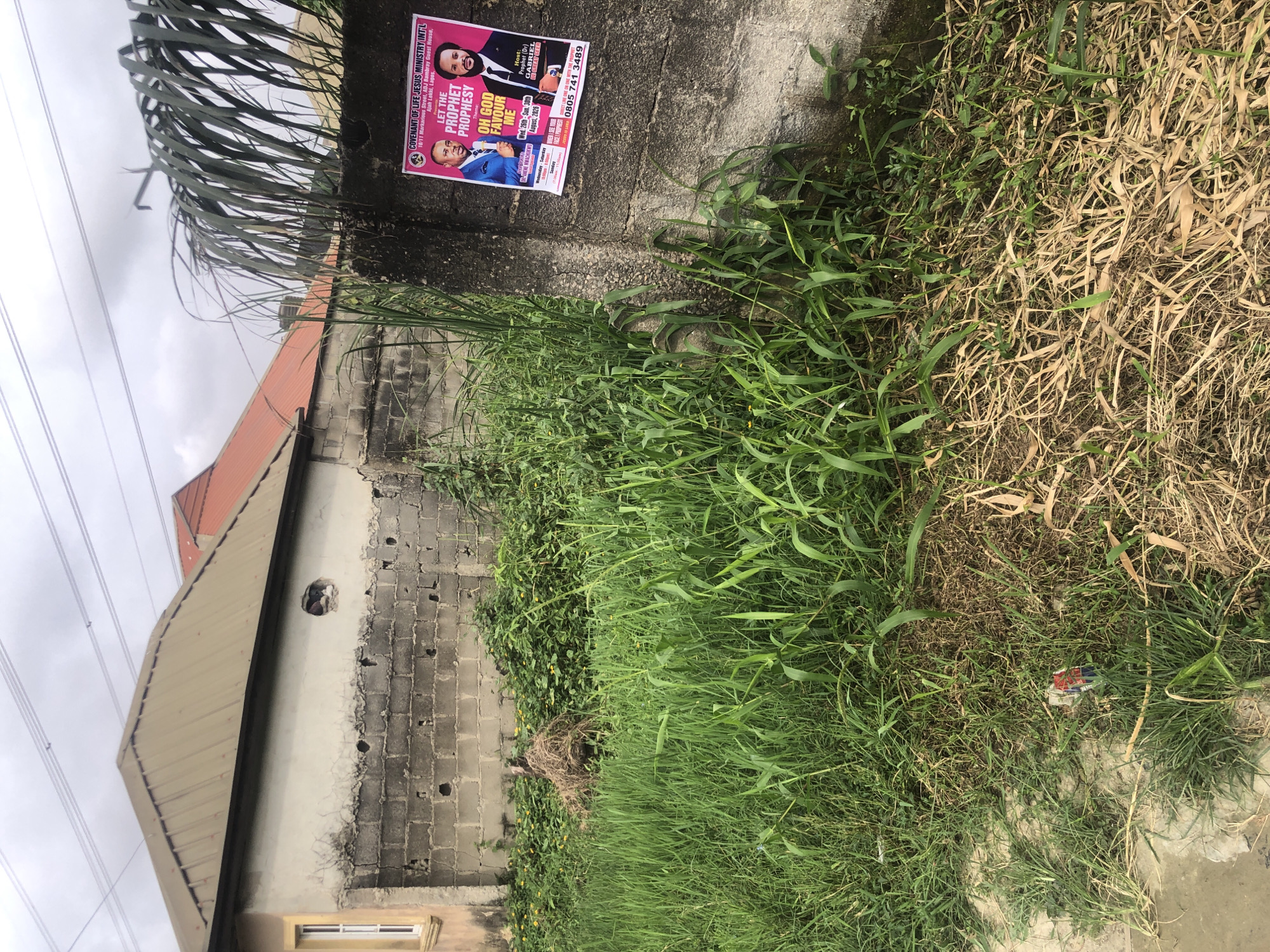 This is a photograph of a poster attached to a concrete wall in Ado, Nigeria. The poster is pink and features two men in suits. The headline reads "LET THE PROPHET PROPHESY" and the theme is "OH GOD FAVOUR ME." The poster also lists a date range of "Wed. 28th - Sun. 30th August, 2020" and provides a phone number "0805 741 3489". The wall appears weathered and is partially covered by overgrown grass and vegetation. In the background, a building with a tan-colored roof and a lighter-colored facade is visible. The sky is overcast.