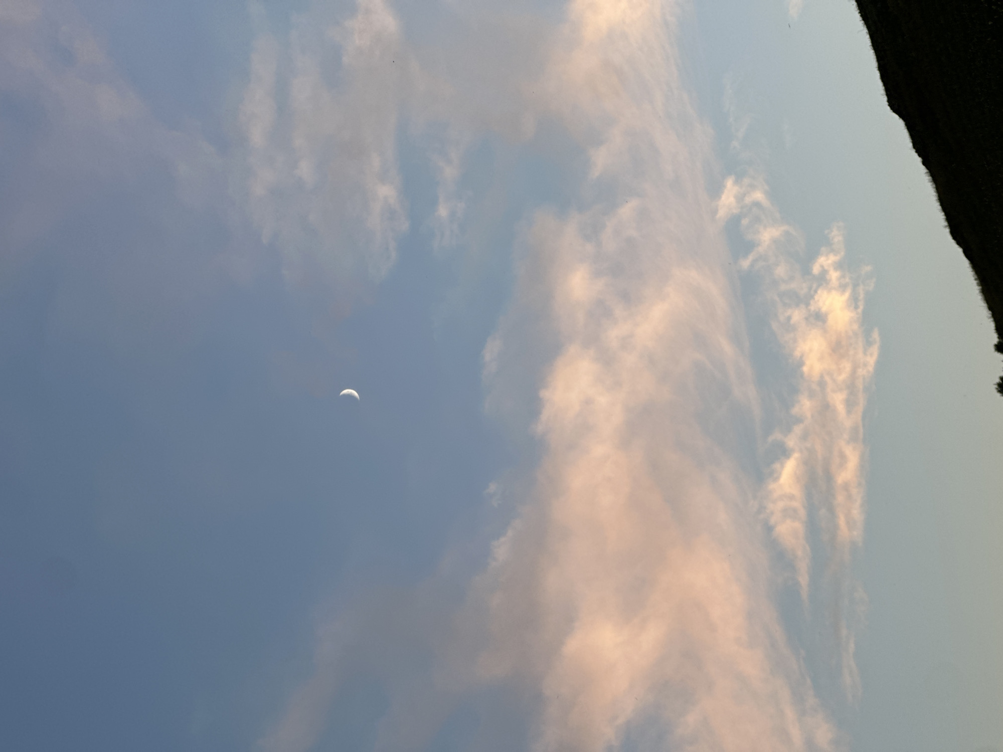 A crescent moon is visible in the upper center of the image against a pale blue sky with scattered clouds tinged with pink. A dark, silhouetted hillside occupies the bottom right portion of the frame, with some sparse vegetation visible along its crest. The overall scene depicts a twilight sky with natural elements.