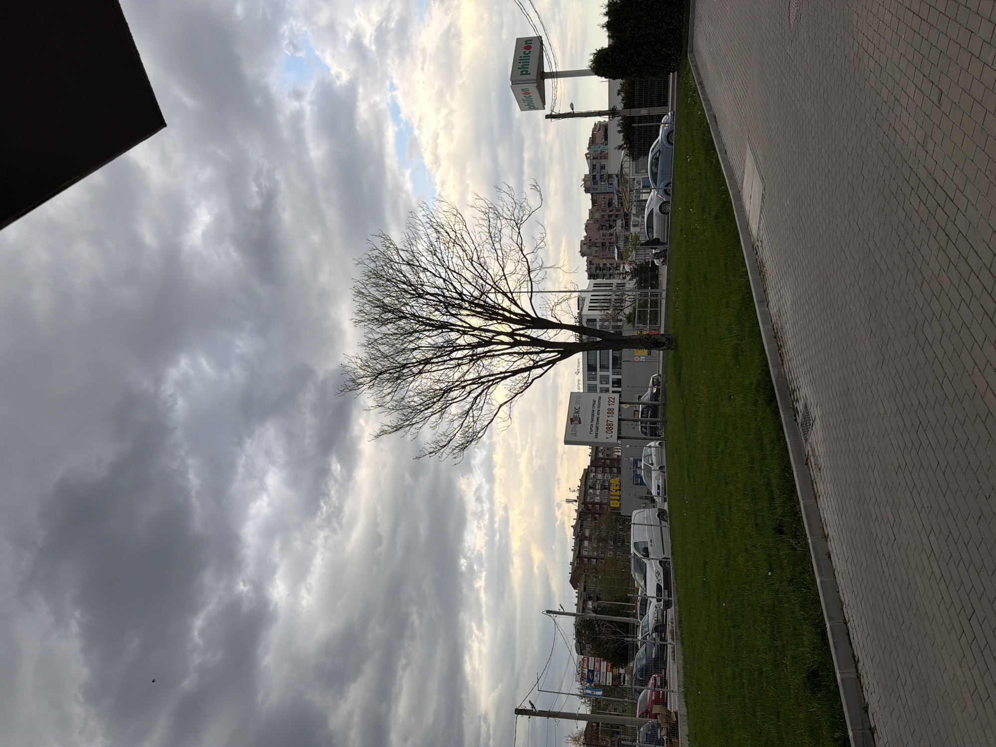 An outdoor image captures an urban or suburban scene under a predominantly cloudy sky, viewed from a slightly low angle. A large, bare-branched tree stands prominently in the mid-ground, silhouetted against the sky. To the right of the tree, a paved sidewalk or path recedes into the distance, bordered by a strip of green grass. Beyond the grass and a fence, numerous cars are parked along what appears to be a street or parking area. Various multi-story buildings, consistent with residential or commercial structures, form the backdrop behind the vehicles.
In the upper right portion of the image, a large sign on a pole displays the word "philicon" in green text against a white background. Further into the background, other signs are visible with Cyrillic text. One notable sign includes "АРХЕКС 2012", the phrase "ТЪРСИ ПРОДАЖБА, СЕРВИЗ..." (meaning "Seeks Sales, Service..."), and a phone number "0887 188 122". A partially visible sign also shows "БИЛА", likely referring to the supermarket chain.
The sky is heavily overcast with grey and white clouds, though hints of brighter sky and soft light suggest either early morning or late afternoon. A dark, angular object, possibly part of a building overhang or structure, intrudes into the top-left corner of the frame. The scene is quiet, with no people visible, and the bare tree indicates it might be winter or early spring. The visible Cyrillic text points to a location in a country like Bulgaria.