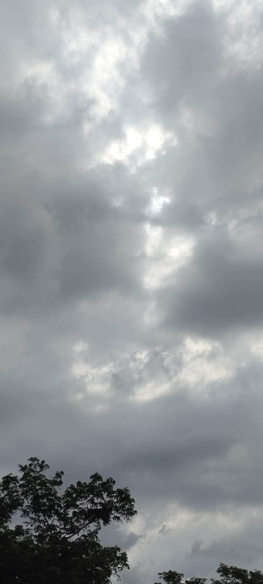 The image presents a natural scene dominated by an overcast sky and the tops of trees. The sky is filled with thick, grey clouds that vary in density and brightness. Patches of intense white light are visible in the upper central and lower right sections, indicating where sunlight is breaking through or reflecting off the dense cloud cover, creating a diffused illumination. The overall impression is that of a heavily cloudy day, possibly indicative of impending rain or very muted daylight.
In the lower part of the frame, the dark silhouettes of tree canopies are visible. The trees are leafy and appear to be part of a lush, natural environment, with their forms largely obscured by shadow against the brighter sky. There is no discernible activity taking place, nor are there any people or man-made objects visible in the frame.
The time of day appears to be daytime, given the light source, though heavily obscured by clouds. The weather is distinctly cloudy and overcast. The trees suggest a tropical or subtropical location, aligning with the provided context of Meunasahaluedrienlhoksukon Barat, Indonesia. No text is visible in the media file.