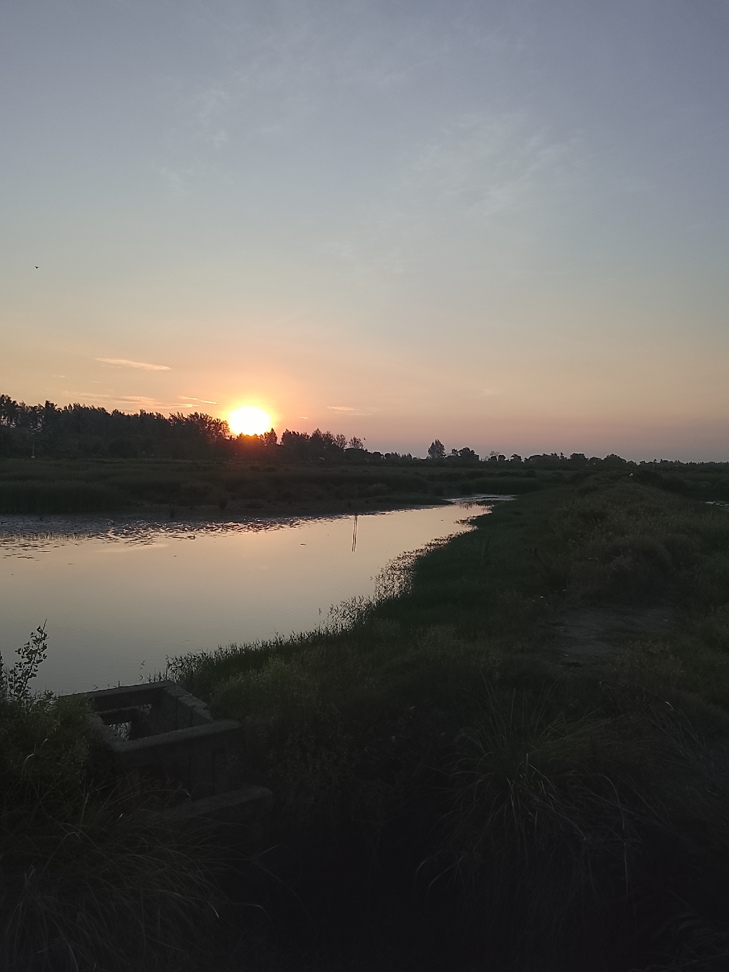 The image depicts a serene sunset over a rural landscape in Mesjid Tuha, Indonesia. A calm body of water, likely a river or canal, dominates the foreground, reflecting the soft hues of the sky. The water is flanked by lush, dark green vegetation, with tall grasses and dense foliage lining the banks. In the distance, a silhouetted line of trees marks the horizon, beyond which the sky transitions from a pale peach near the setting sun to a soft blue. The sun itself is a bright, golden orb, partially obscured by the tree line and casting a gentle glow across the scene. The overall atmosphere is tranquil and natural, suggesting a quiet evening in a remote, possibly agricultural, area. A small, dark, man-made structure, possibly a sluice gate or drain, is visible on the left bank of the water, partially submerged in the foliage. There are no people or animals clearly visible in the scene. The lighting indicates it is late afternoon or early evening.