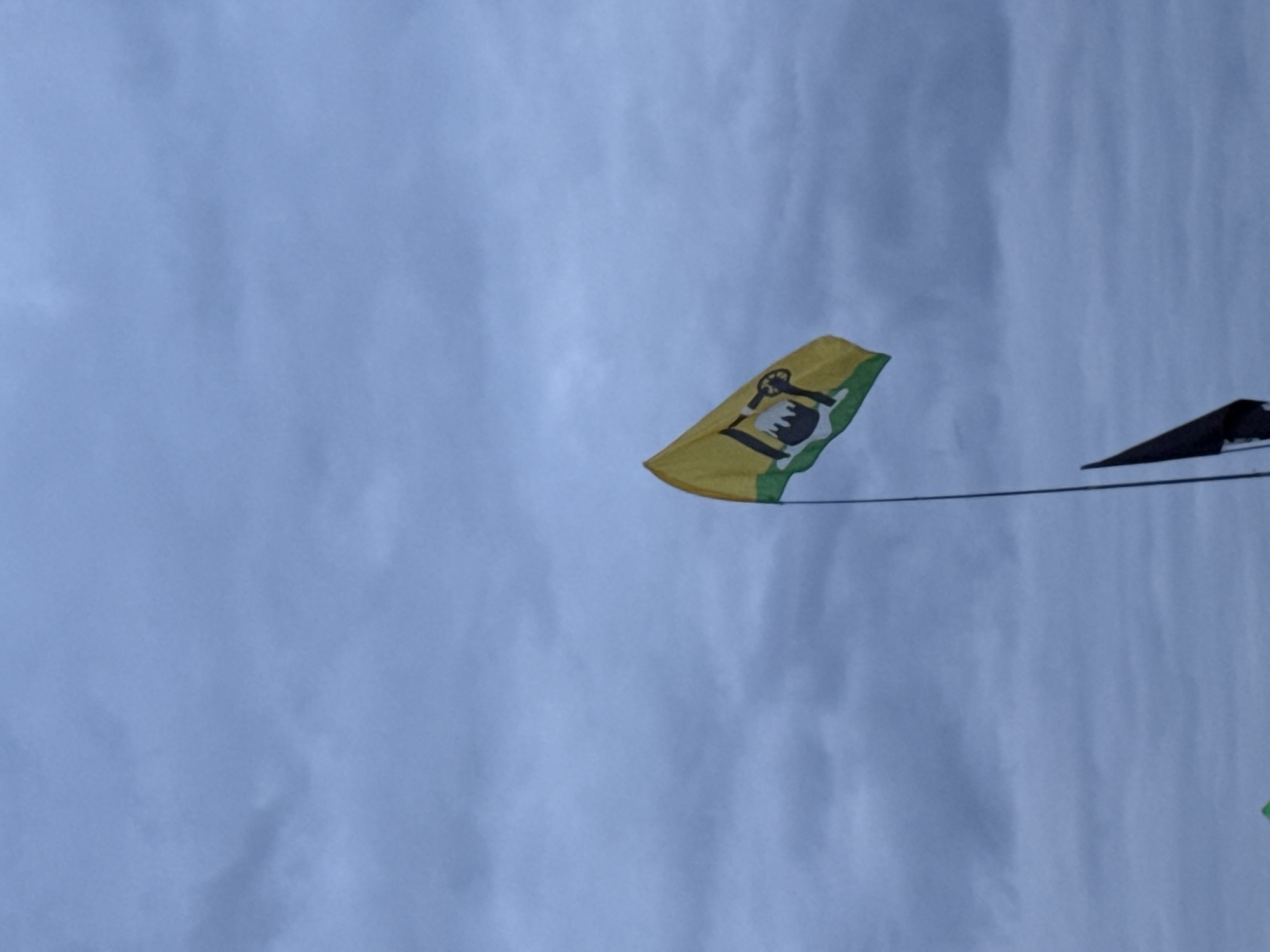 The image displays an outdoor scene under an overcast, blue-grey sky with diffuse cloud cover. The primary subject is a yellow and green flag, unfurled and fluttering against the sky, positioned in the lower-middle right quadrant of the frame. The flag features a prominent black emblem centrally located on its yellow field, with a green horizontal band across its bottom edge. The emblem appears to be a stylized black design, possibly a container like a pot or drum with associated tools or objects to its right. The flag is attached to a slender, dark-colored flagpole extending vertically through the lower portion of the image. A smaller, black flag, with only its upper portion visible, is situated further down and to the left of the main flagpole, implying a second flag or another part of the same flagpole system. No ground, buildings, or other discernible features are present to specify an exact location within Большая Кивара, Russia; the environment consists solely of the sky and the flags. No people or actions are visible.