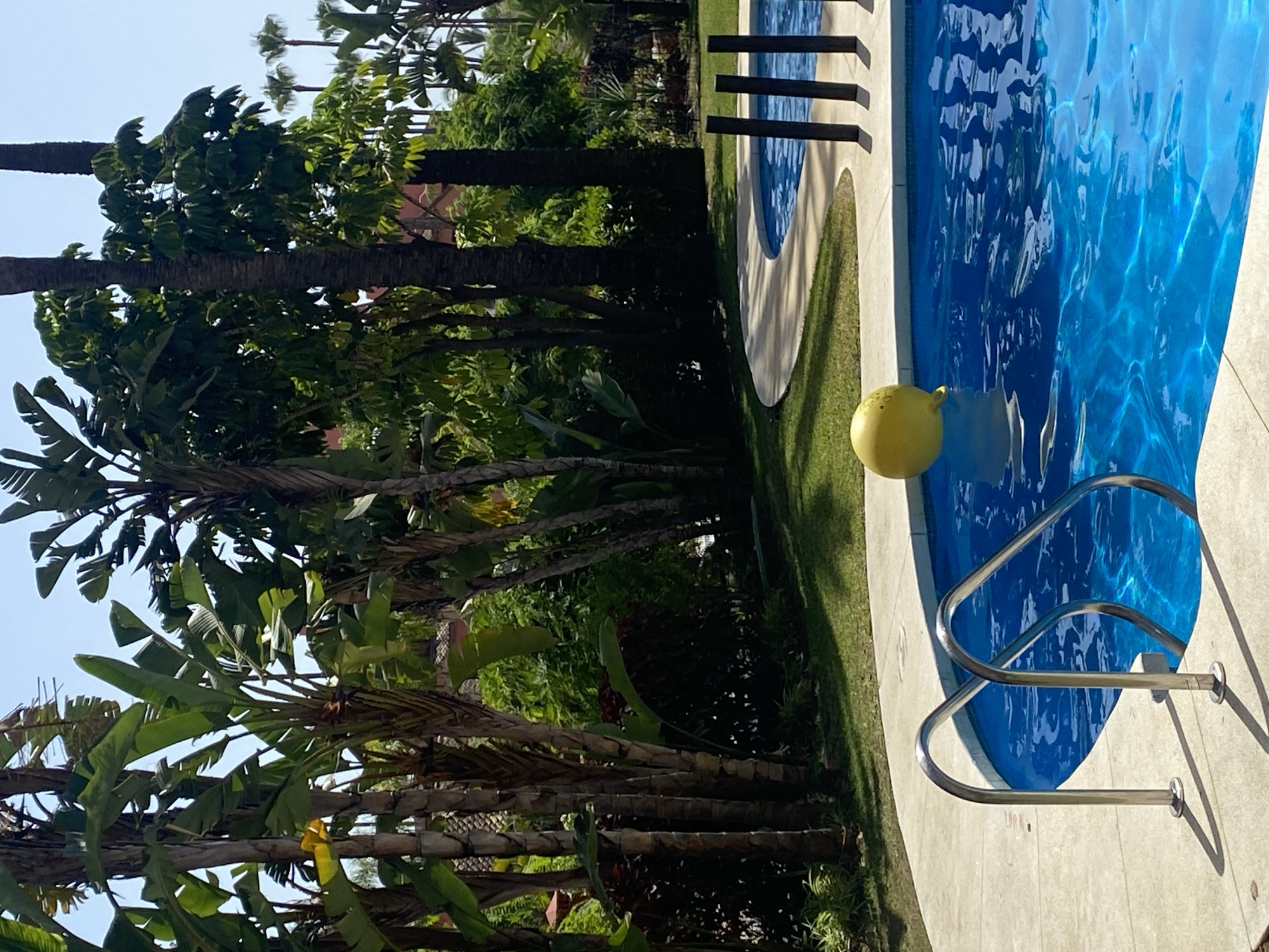 The image displays a sunny outdoor scene featuring a swimming pool and lush vegetation. The pool is filled with bright blue water, reflecting the sunlight and creating ripple patterns on its surface. A yellow inflatable object, possibly a ball or ring, floats near the edge of the pool. A silver metal handrail with two posts enters the water, suggesting it's part of the pool's access.
Surrounding the pool is a light-colored concrete deck, with a patch of green grass to the left and a curving, light-colored border defining the pool's edge. In the background, a dense arrangement of tropical plants, including large-leafed plants and palm trees, creates a verdant and shady environment. The foliage appears healthy and vibrant.
The lighting suggests it is daytime, with clear, bright conditions that cast distinct shadows from the handrail onto the deck. The overall atmosphere is serene and suggests a vacation or leisure setting, likely in a warm climate given the tropical plants. No people are visible in the frame. There is no visible text in the image. The location context indicates this scene is in Resinera-voladilla, Spain.