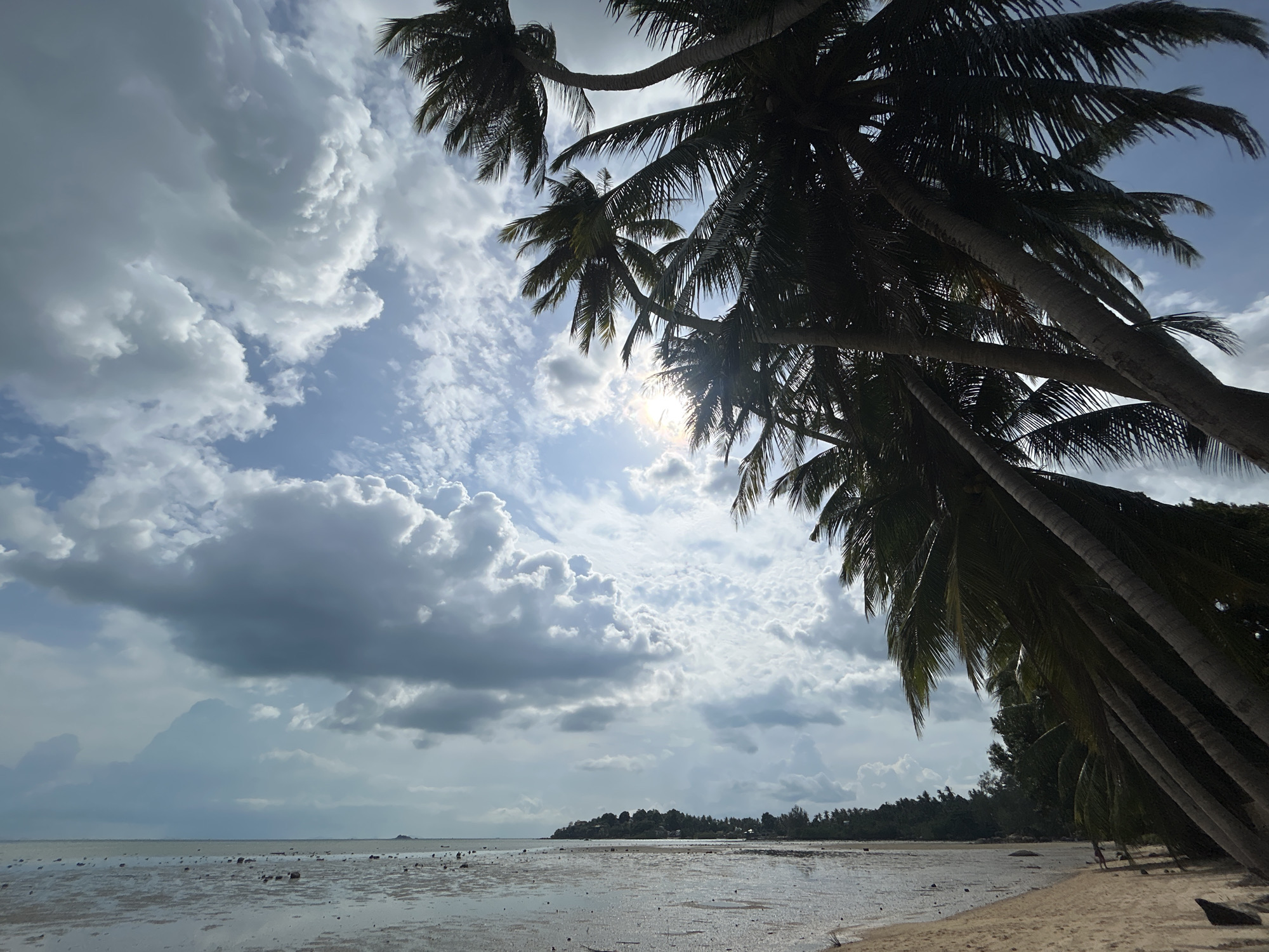 The image depicts a coastal scene in Baan Sri Thanu, Thailand. The foreground features a sandy beach transitioning into a shallow, exposed seabed at low tide. Scattered debris, likely seaweed and rocks, are visible on the seabed. In the middle ground, a dense line of trees and vegetation defines the shoreline of a nearby landmass, possibly an island or peninsula. Above, palm trees dominate the right side of the frame, their fronds obscuring the sky. The sky is partly cloudy, with patches of blue visible between the clouds. The sun is positioned behind the clouds, creating a bright, diffuse light. No people or animals are visible in the scene.