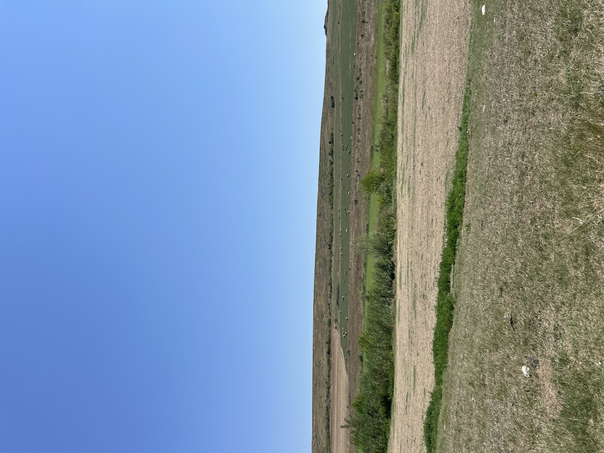 The image depicts a rural landscape under a clear blue sky. In the foreground, a dry, grassy field stretches across the lower part of the frame. Behind it, a strip of green vegetation runs horizontally, separating it from a field of dry, light-brown stubble. Further back, a green pasture dotted with numerous round hay bales is visible. Beyond the pasture, a gently sloping hillside covered in dry vegetation and scattered bushes rises to meet the horizon. The overall impression is one of an agricultural area in a dry, possibly summer, season, located in or near the city of Poroy, Bulgaria. There are no people or animals visible in the image.