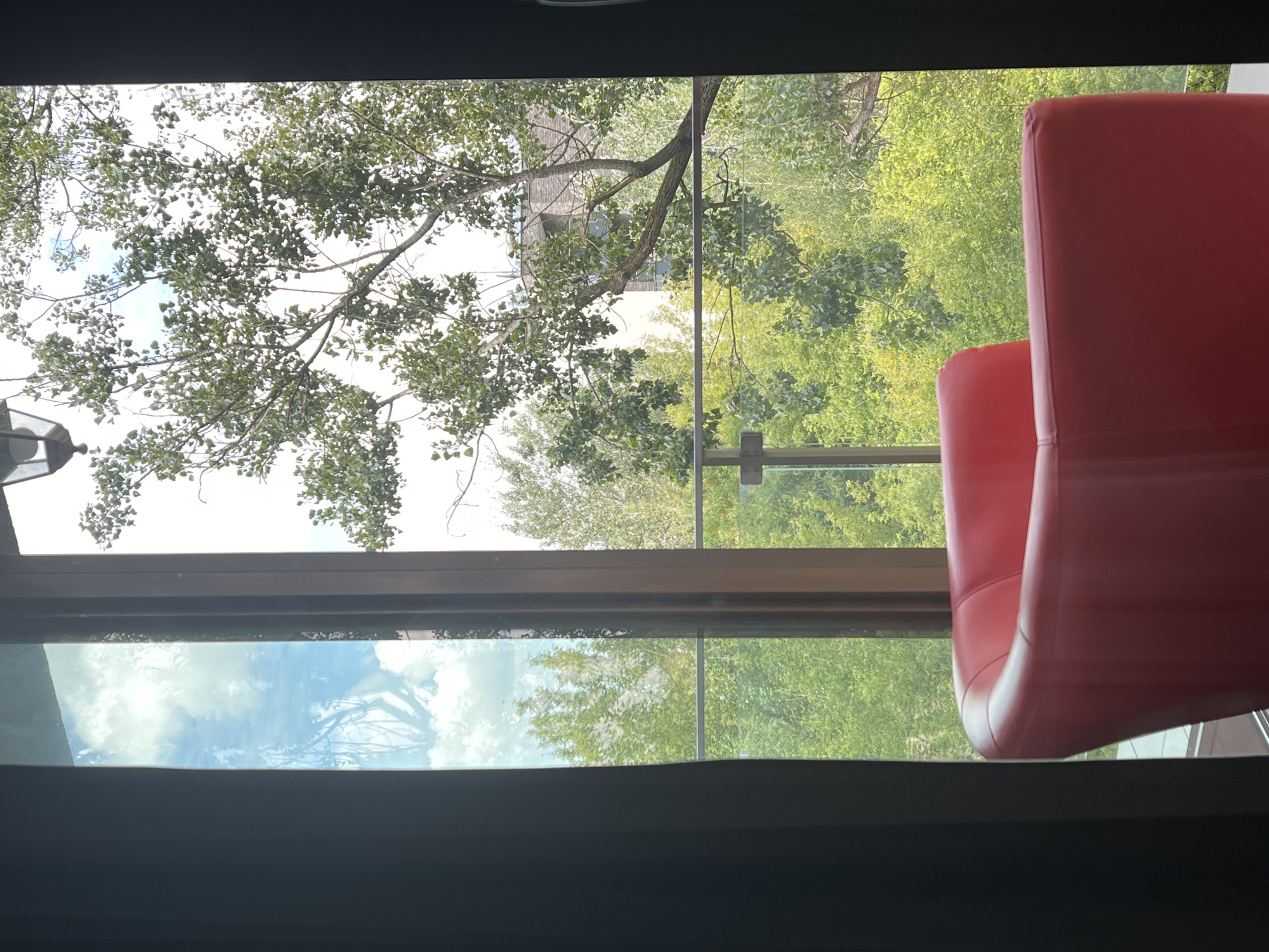 The image shows a bright, sunlit scene viewed through a window. In the foreground, a vibrant red, modern armchair is partially visible, facing away from the viewer. Through the window, lush green trees and foliage dominate the landscape, suggesting an outdoor setting. A large tree with leafy branches extends into the frame from the upper right. In the distance, a building with a brick facade is partially obscured by the trees. The sky above is a clear blue with scattered white clouds, and a light fixture is visible near the top of the window frame. The scene appears to be a peaceful view from a room overlooking a verdant area, possibly a park or a well-landscaped garden within Warsaw, Poland.