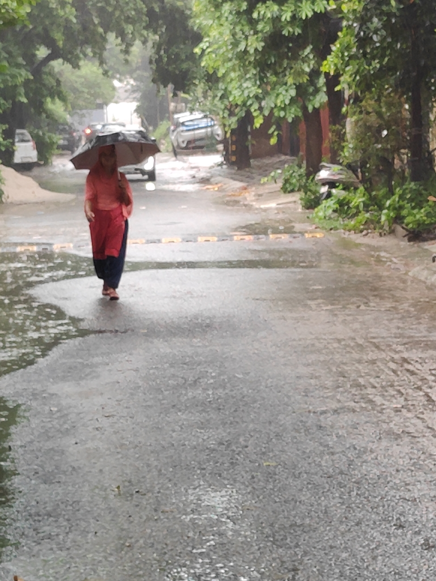 A woman walks down a flooded street in Gurgaon, India, holding an umbrella. The street is wet and appears to be covered in puddles. Trees line the street, and there are several cars in the background. The sky is overcast, and it appears to be raining. The woman is wearing a pink top and red pants. She is walking away from the camera. The scene is likely a residential area or a road within the city.