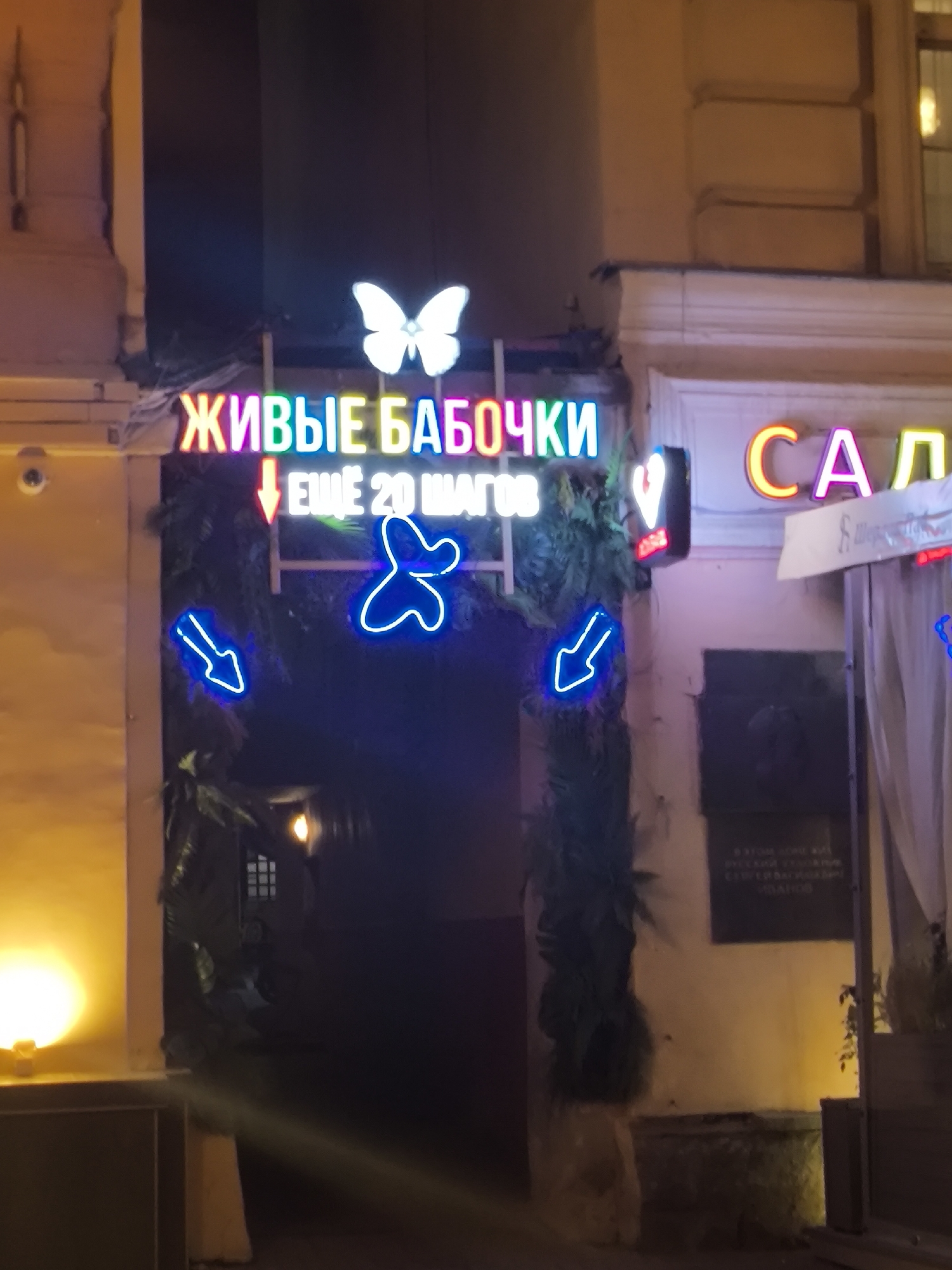 The image depicts the entrance to a business, presumably a cafe or attraction, in Moscow, Russia. Above the entrance, a neon sign reads "ЖИВЫЕ БАБОЧКИ" (Living Butterflies) with a white butterfly above and other neon signs depicting arrows and another butterfly. Below the neon sign, there is what appears to be greenery bordering the entrance. To the right of the entrance is another sign that says "САД" (Garden). A plaque is visible on the wall to the right of the entrance. The setting is an urban street scene, with building façades visible in the background.