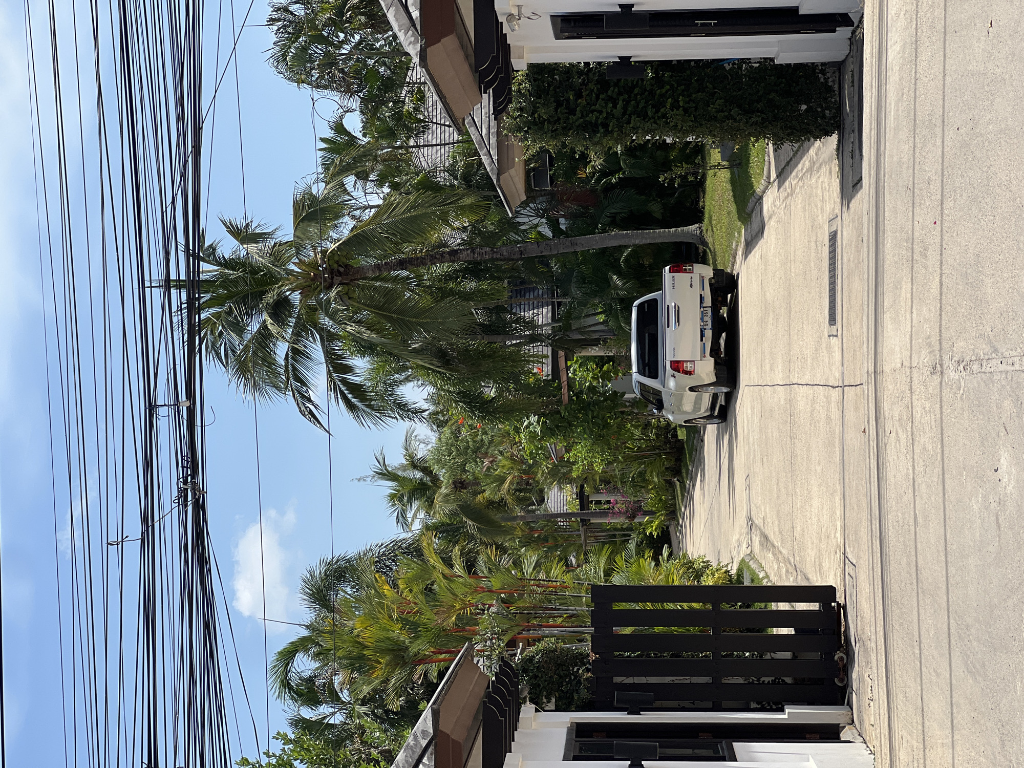 The image captures a residential outdoor scene on a bright, sunny day, characterized by tropical vegetation and a clear blue sky. A dense network of black utility lines stretches across the upper left portion of the sky.
In the center-right of the frame, a white Toyota Hilux Revo pickup truck is parked on a concrete driveway or private road. The truck's rear is prominently visible, displaying "HILUX" and "Revo" badging, a "TOYOTA" emblem, and a Thai license plate with the alphanumeric sequence "9W 361" alongside Thai script.
Lush green tropical foliage dominates the background and the left side of the driveway. Several tall palm trees, including a prominent coconut palm with visible coconuts, rise above the greenery. Portions of a white building with black trim and a black wooden gate are visible on the right. The concrete driveway features linear cracks and dark metal drainage grates. The overall impression is a tranquil and well-maintained property, strongly indicating a location in Thailand due to the visible license plate and vehicle model, combined with the characteristic overhead utility lines and tropical environment. No people are visible in the scene.