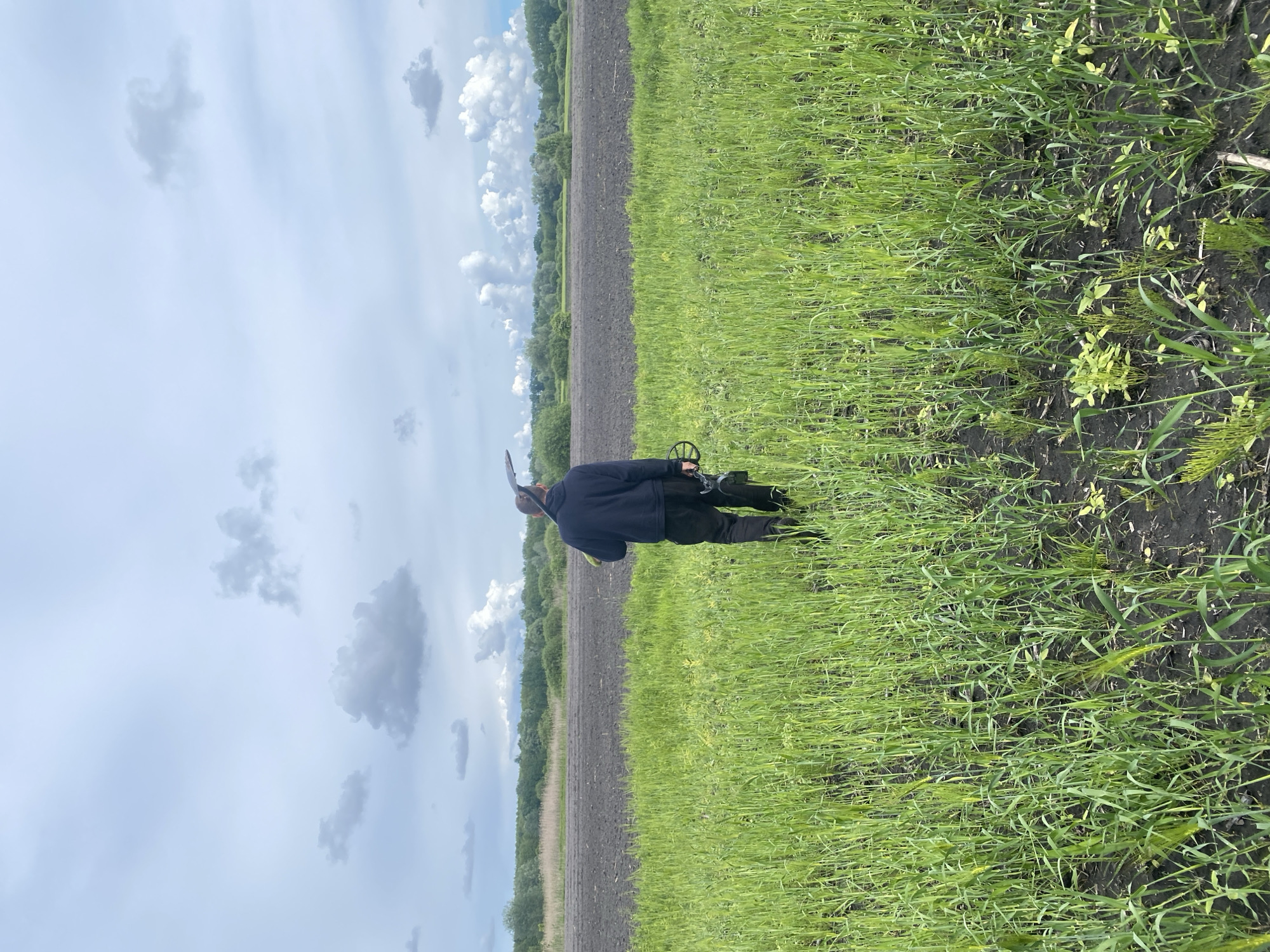 A man is metal detecting in a field in Matiashivka, Ukraine. The field is bordered by a strip of plowed land and a treeline, and the sky is cloudy.