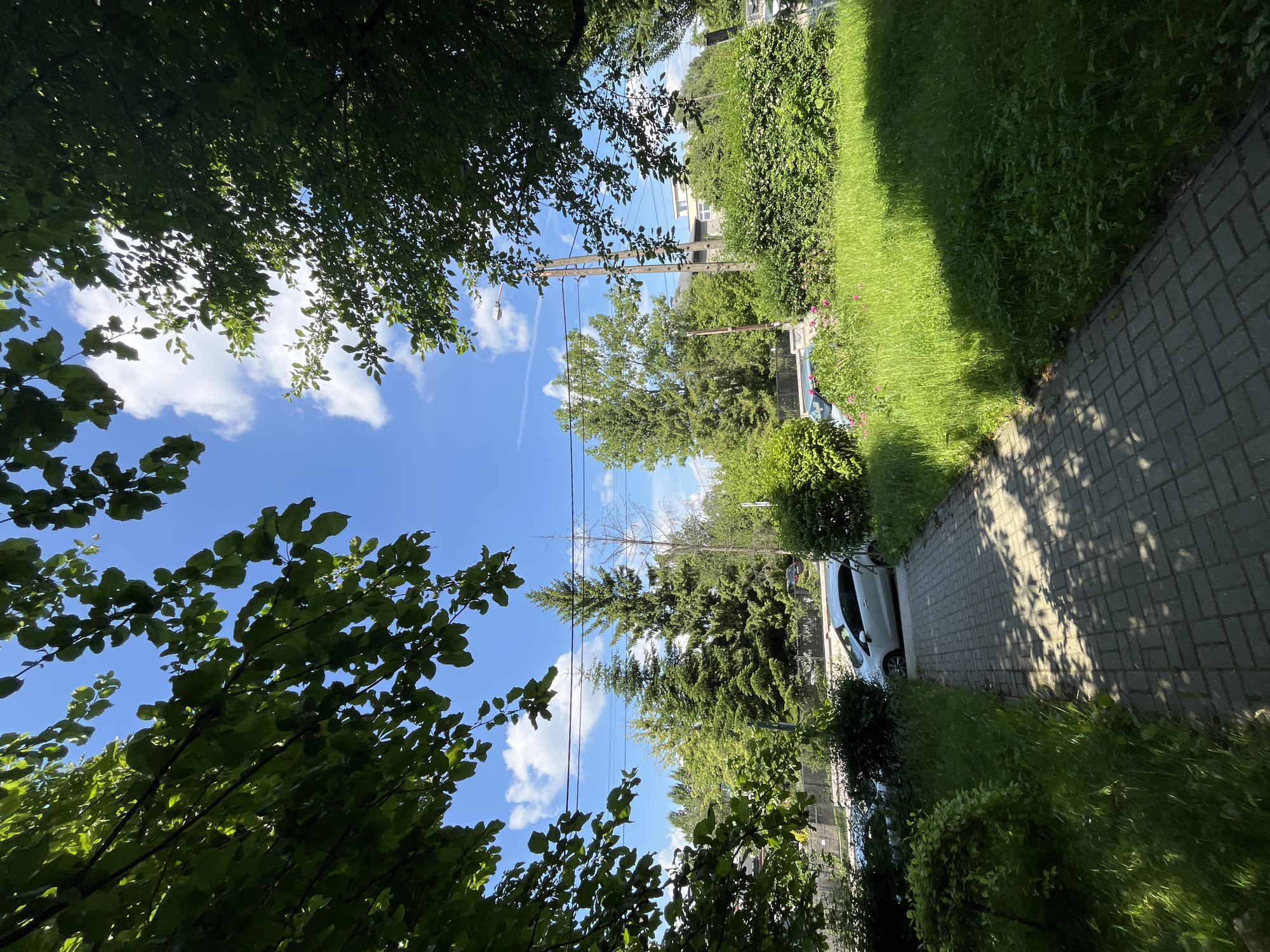 The image depicts a sidewalk next to a grassy area with trees and foliage. A white car is parked on the side of the road. Overhead, power lines stretch across the bright blue sky, which is dotted with fluffy white clouds. The scene appears to be set outdoors, possibly in a residential area or park, given the presence of trees, grass, and a sidewalk. The lighting suggests it is daytime, with shadows cast on the sidewalk, indicating sunlight. There are no people visible in the image. The overall impression is one of a peaceful, sunny day in a green, somewhat urbanized environment.
