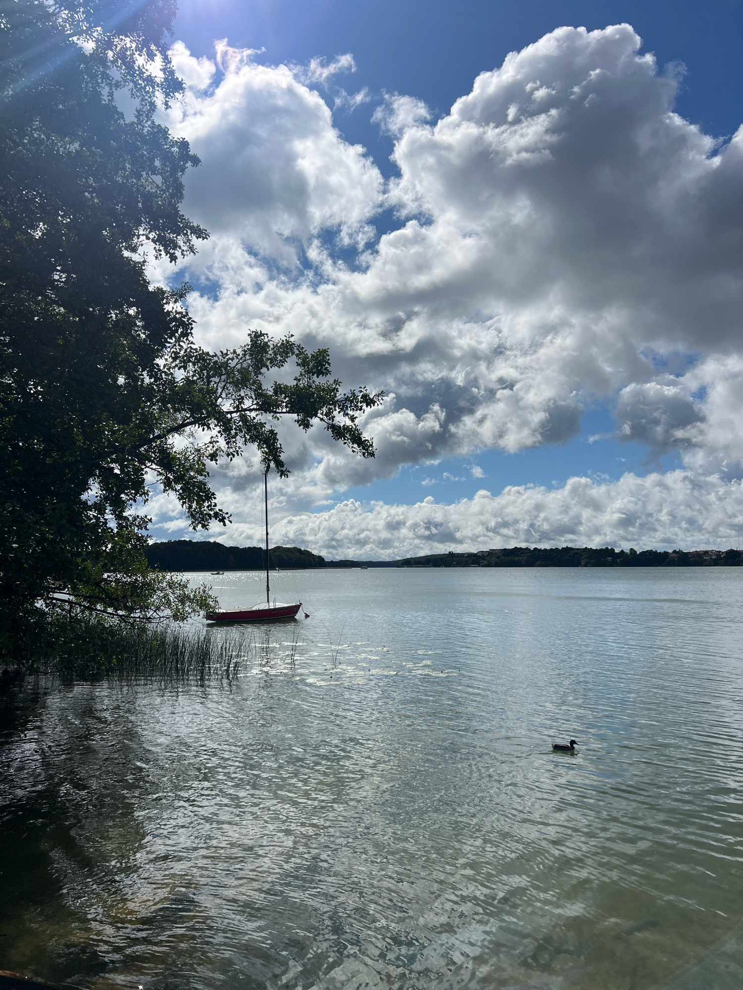 The image depicts a serene lake scene with a red sailboat anchored near the shore. Lush green trees overhang the water on the left, casting shadows and framing the view. The water's surface is calm with gentle ripples, reflecting the bright, partly cloudy sky. In the distance, a tree-lined shore with some buildings is visible. A single duck swims in the middle of the lake. The scene appears to be set in Mrągowo, Poland, known for its numerous lakes and natural beauty.
