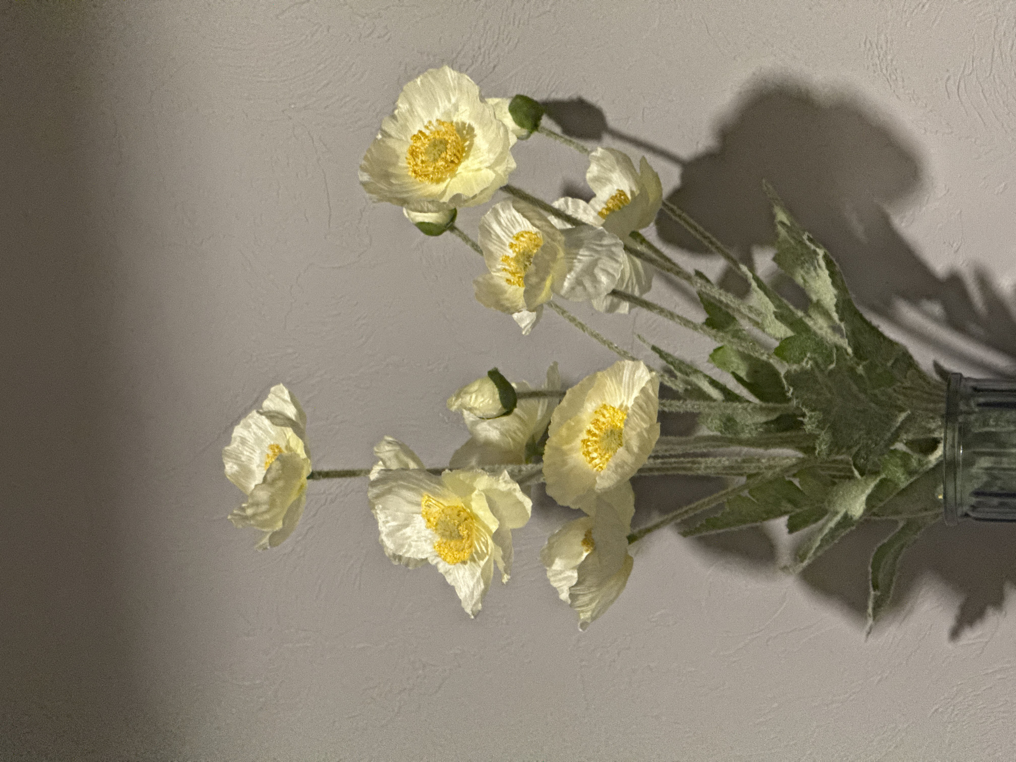 A still-life photograph shows a bouquet of white and yellow poppy-like flowers in a clear glass vase against a textured, light gray wall. A shadow cast by the bouquet is visible on the wall. The scene appears to be indoors under artificial lighting. There is no indication of this being in Votkinsk, Russia, or any people present.