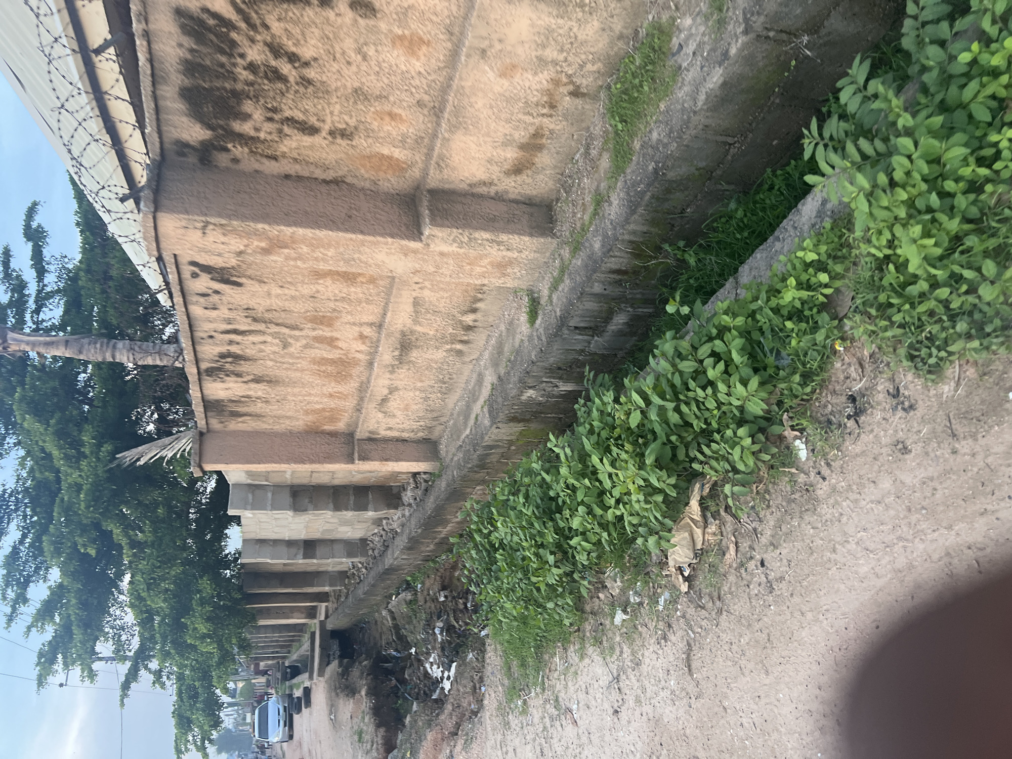 The image depicts an outdoor scene, likely in a residential area of Jalingo, Nigeria. A concrete drainage ditch runs along a dirt road, bordered by a textured, light brown wall topped with barbed wire. Lush green vegetation grows along the edge of the ditch. The wall appears weathered with dark stains. In the background, several trees, including a palm tree, are visible, as is a silver car parked on the side of the road. The sky is overcast, suggesting a cloudy day. The overall impression is one of a developing urban or semi-urban environment, with evidence of both infrastructure and natural growth.