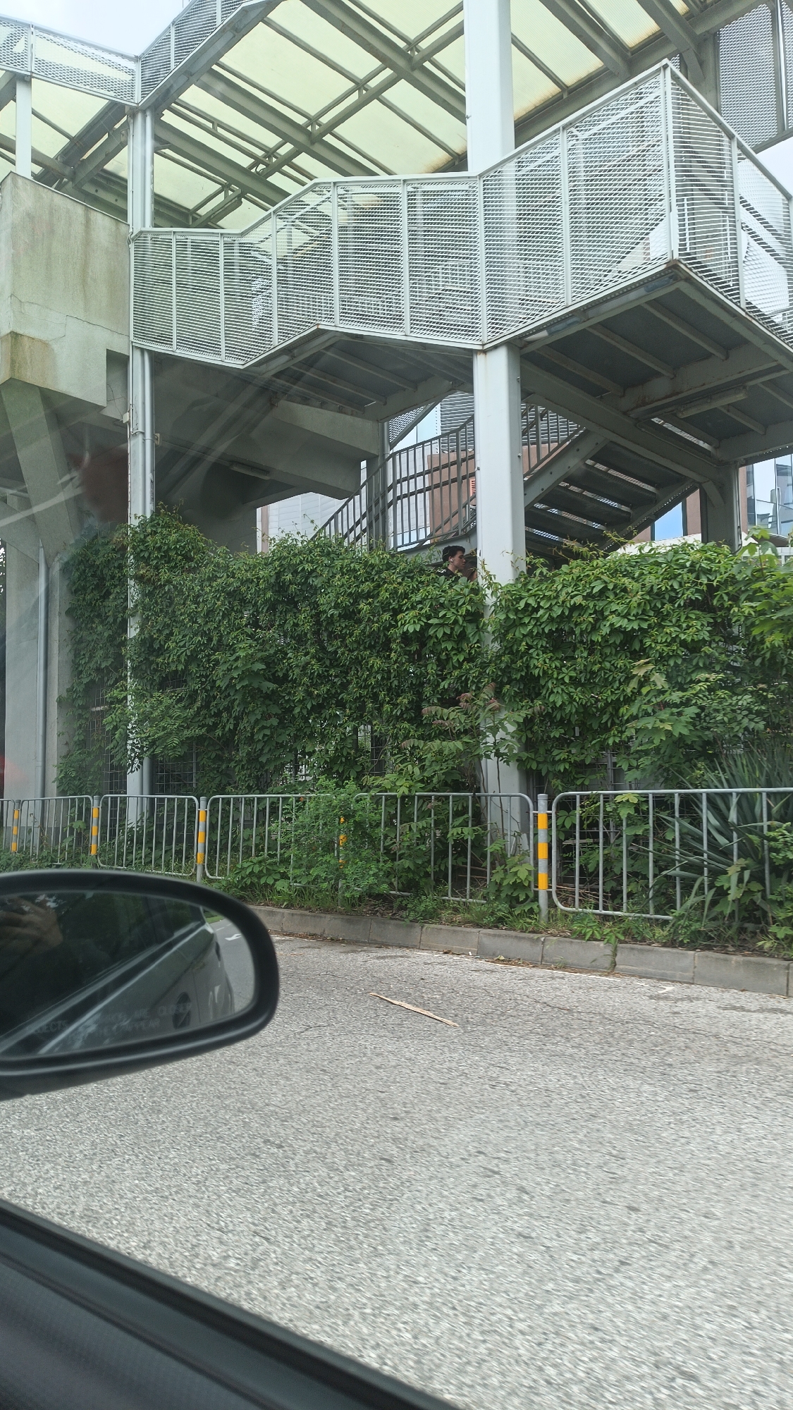 A view from inside a car looking out at an elevated metal pedestrian walkway overgrown with ivy. The walkway is constructed of steel beams and has a roof. The ivy is growing along the side of the walkway, obscuring a metal fence. A man stands in the ivy near the walkway. In the foreground is the asphalt road and the side mirror of the car. The location is likely in Burgas, Bulgaria.