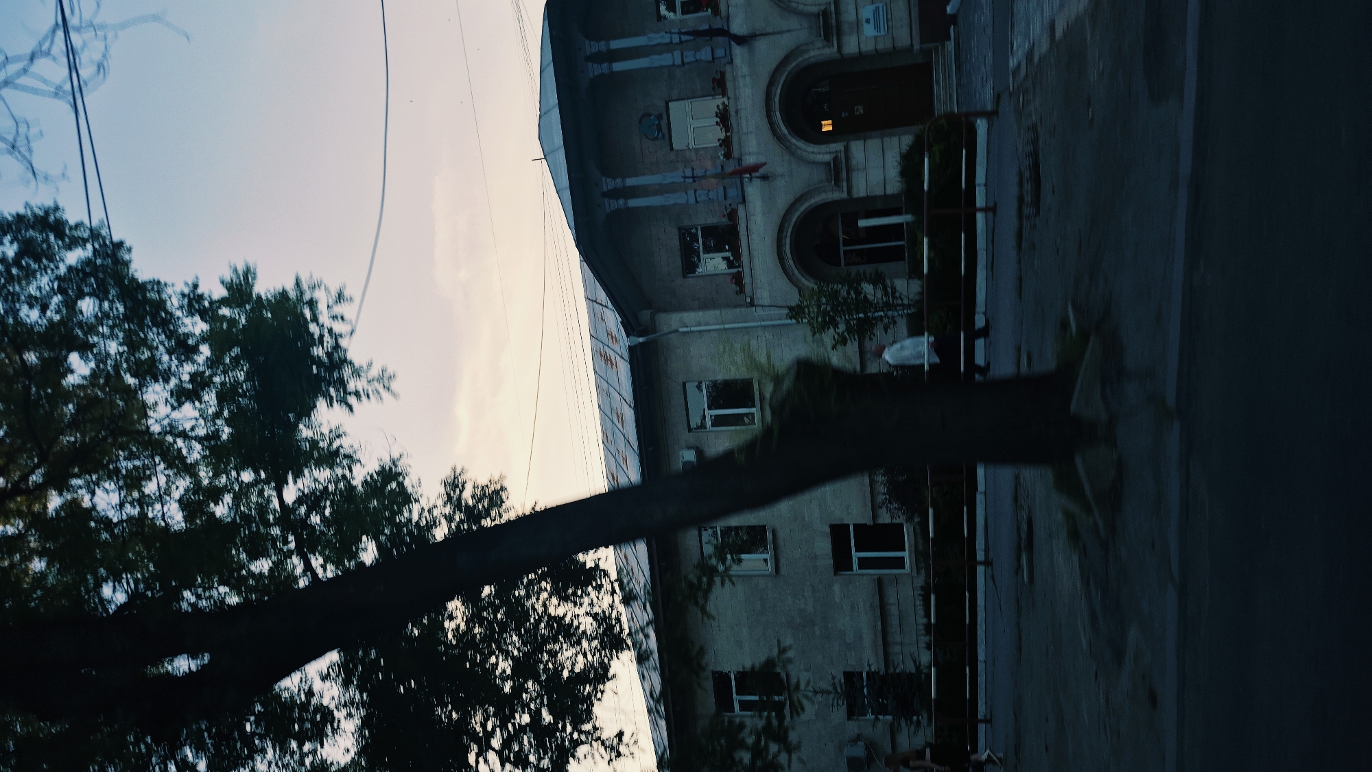 The image depicts a street scene in Chișinău, Moldova, with a focus on a building and its surroundings. In the foreground, a large tree trunk is prominently featured, casting a shadow and partially obscuring the view of the building behind it. The building itself appears to be two stories high with a grey, textured facade. It has a pitched roof with a weathered appearance, and several windows are visible, some with white frames and others with darker frames. The ground floor features arched entrances.
On the sidewalk in front of the building, a person in a white shirt is walking from left to right. Another person, partially visible on the far left, is also walking. A railing or fence runs along the sidewalk. The environment suggests an urban setting, with overhead wires visible against a pale sky that transitions from pinkish hues near the horizon to a light blue. The image seems to be taken from a moving vehicle, indicated by the motion blur of the tree and the overall sense of movement.